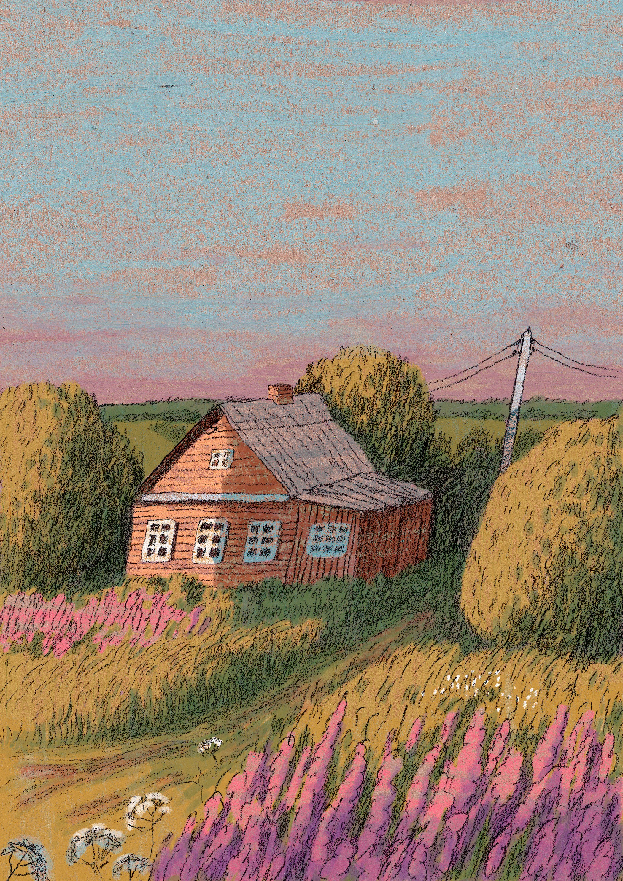 Иллюстрации. Художник Карина Милосердова