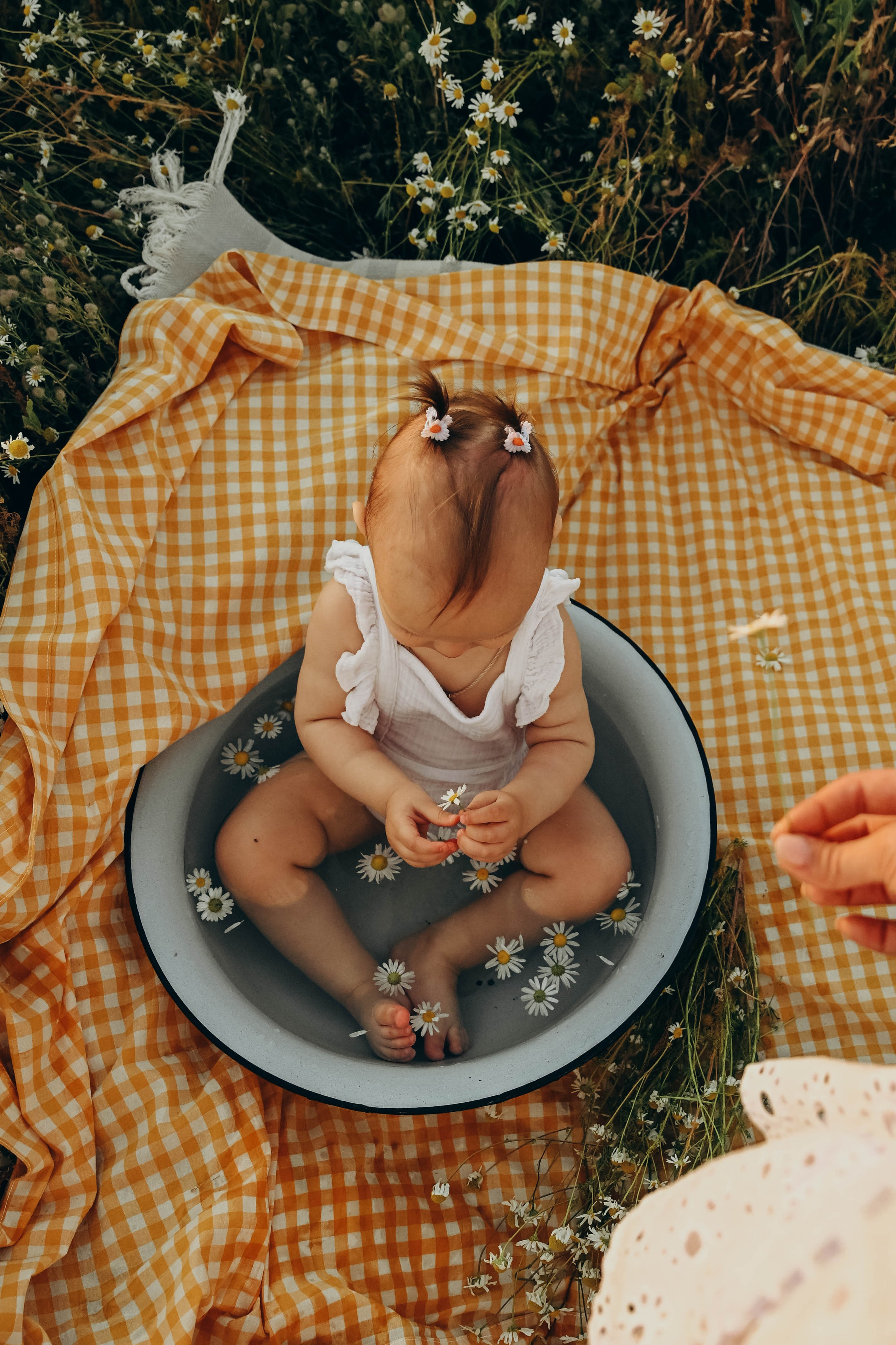 Ромашковое поле. Семейный фотограф в Москве Люберцах Ирина Вронская