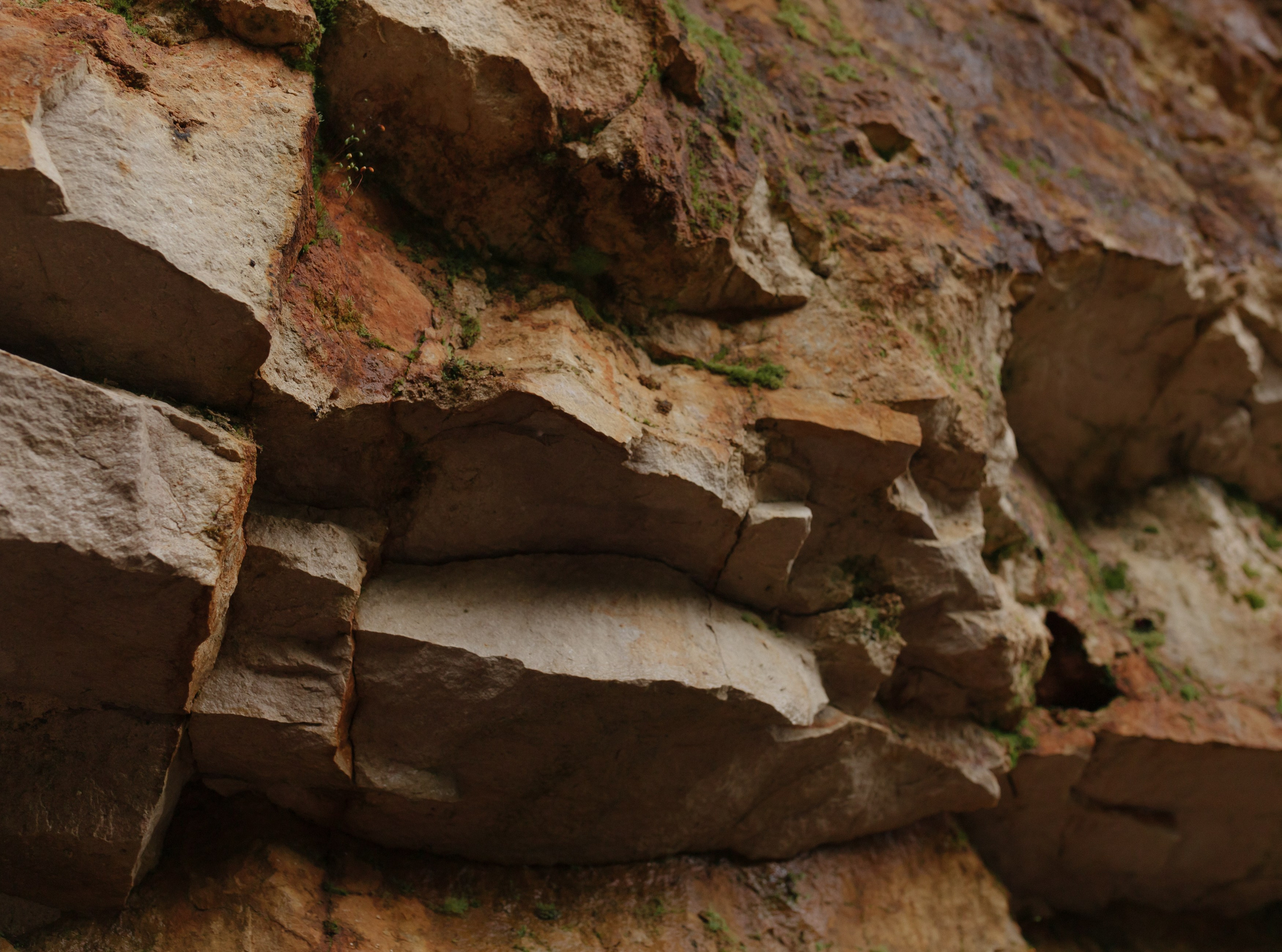 Красота в природе. Портретный фотограф в Санкт-Петербурге Катя Протасевич
