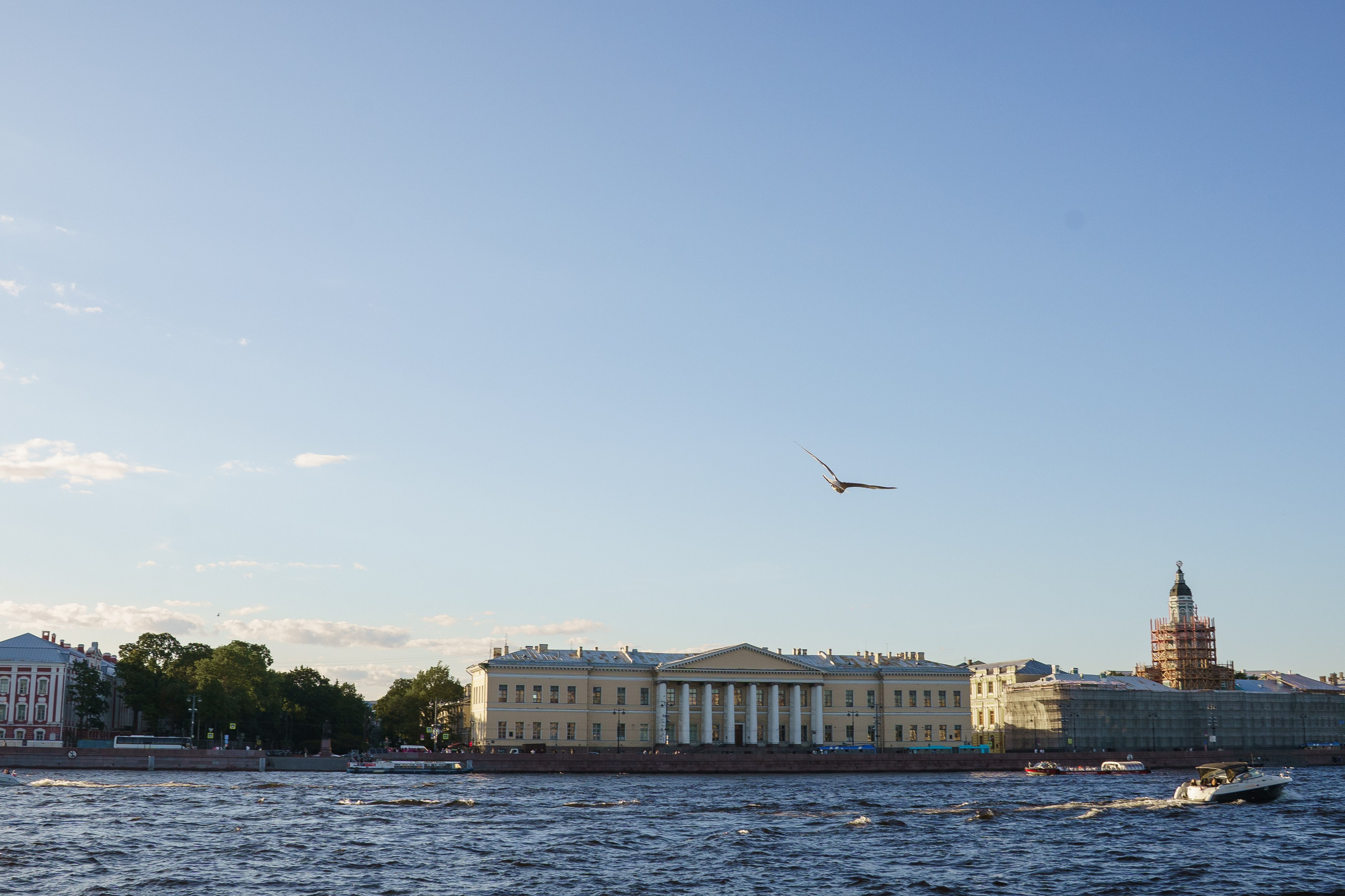 Семейная фотосессия в Санкт-Петербурге. Портретный фотограф в Санкт-Петербурге Катя Протасевич