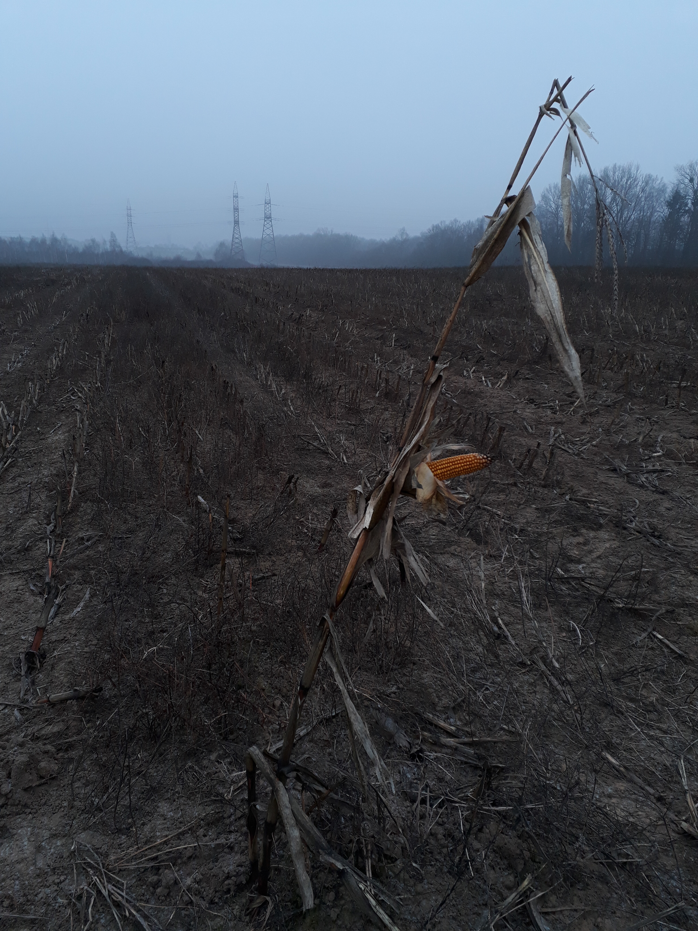 Belarus. Künstler Verstecktoff