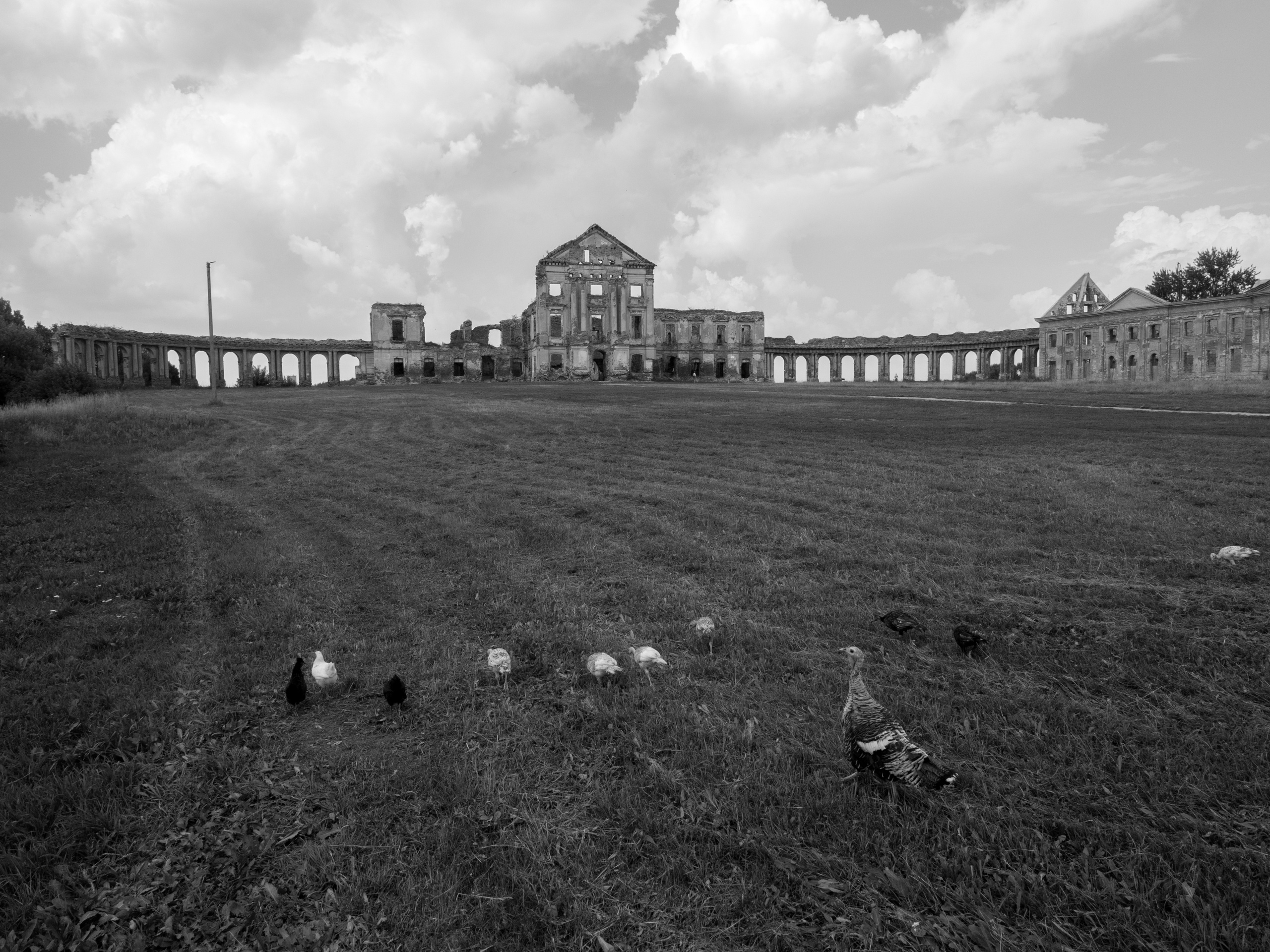 Belarus. Künstler Verstecktoff