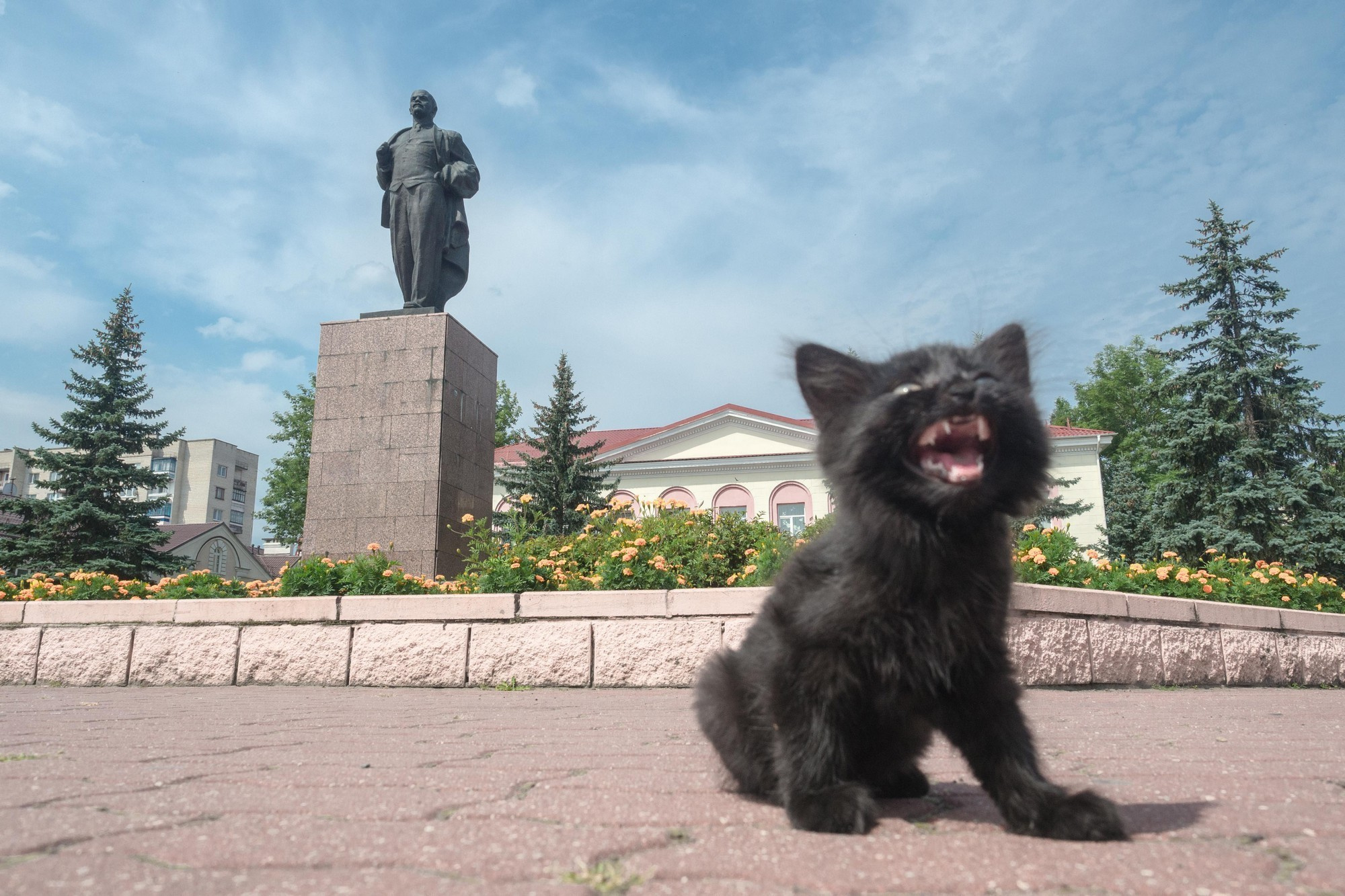 Belarus. Künstler Verstecktoff
