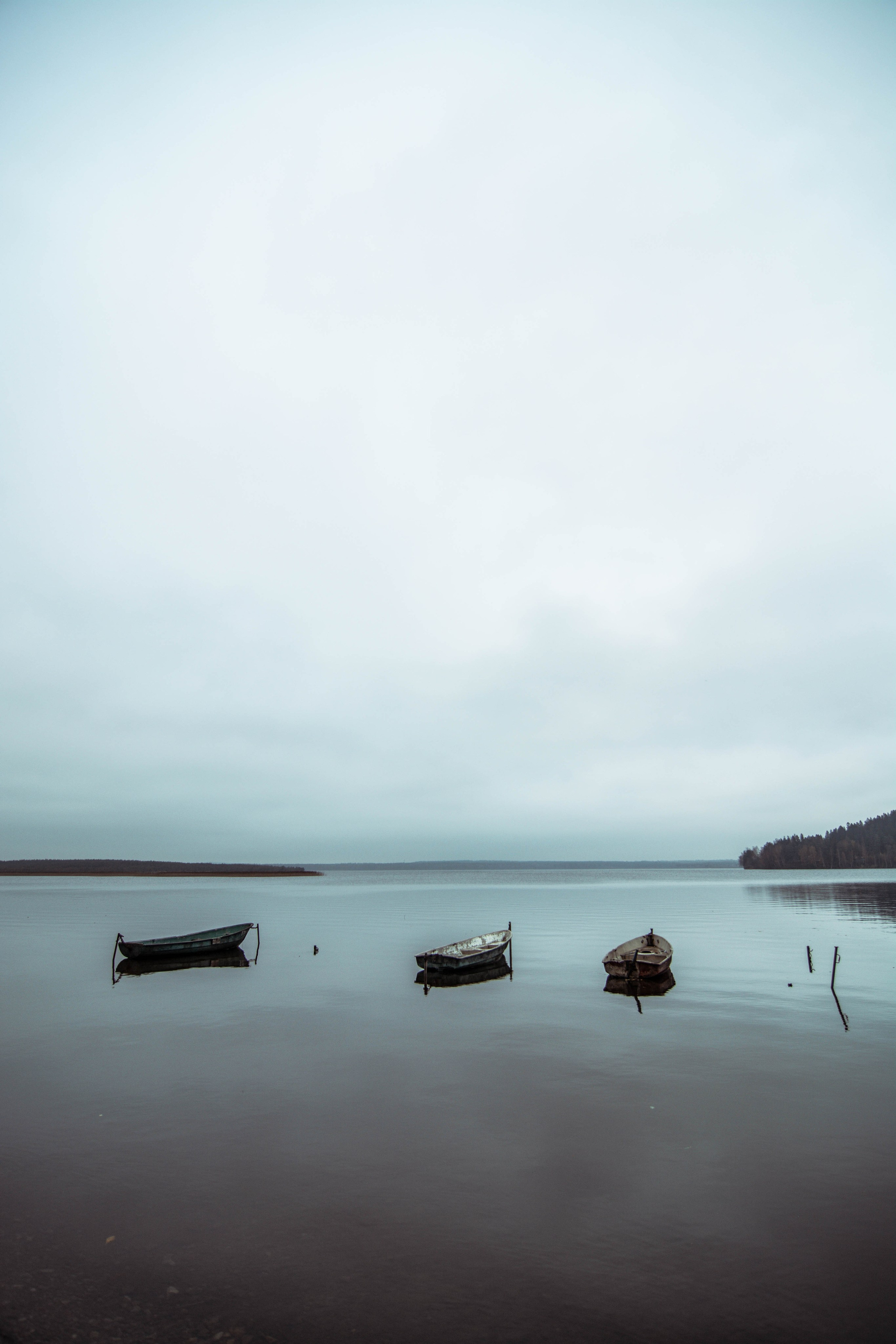 Лен Область. Мари Линёк-Стельмах Фотохудожник Санкт-Петербург/Урал
