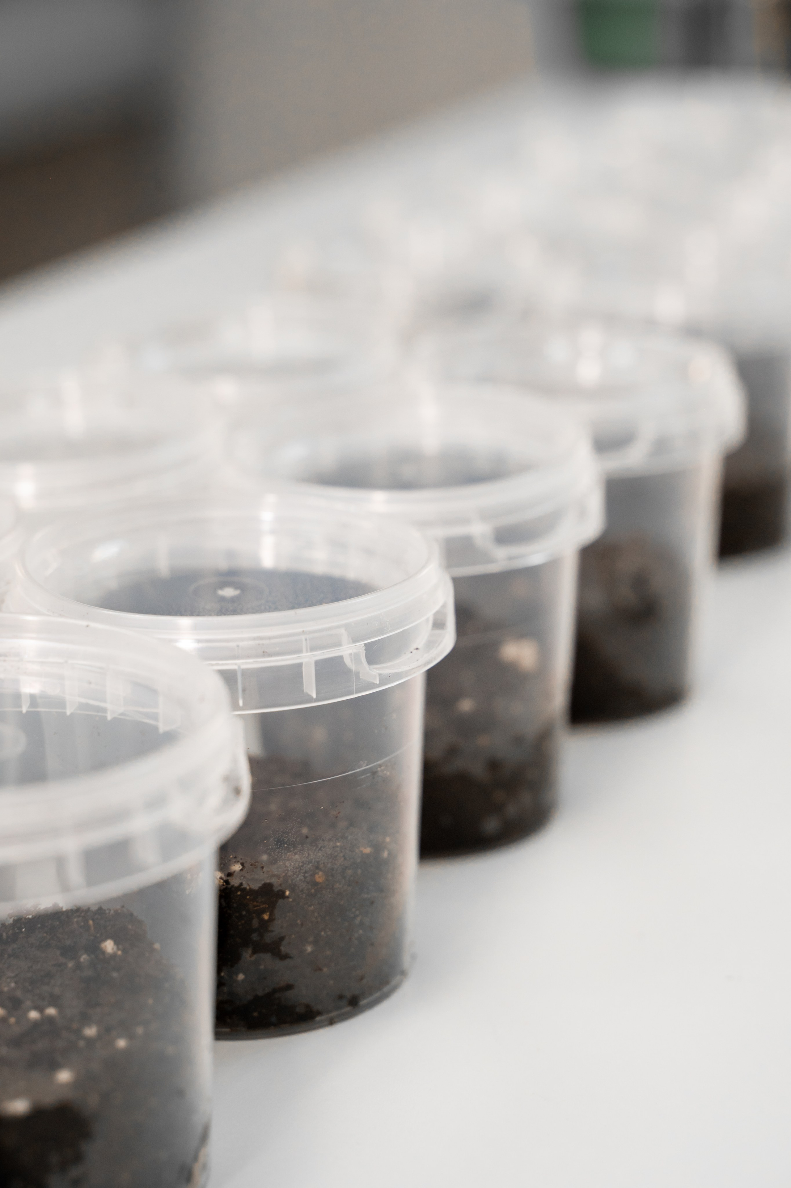 Международная конференция РАН