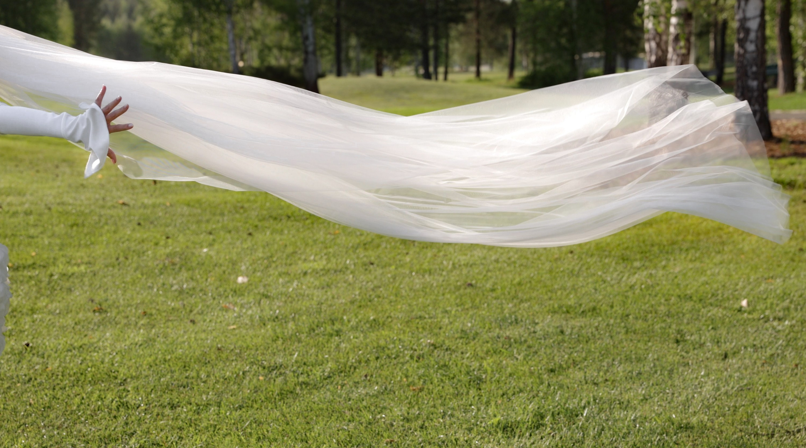 Pine Creek. Видеографы K-Creation