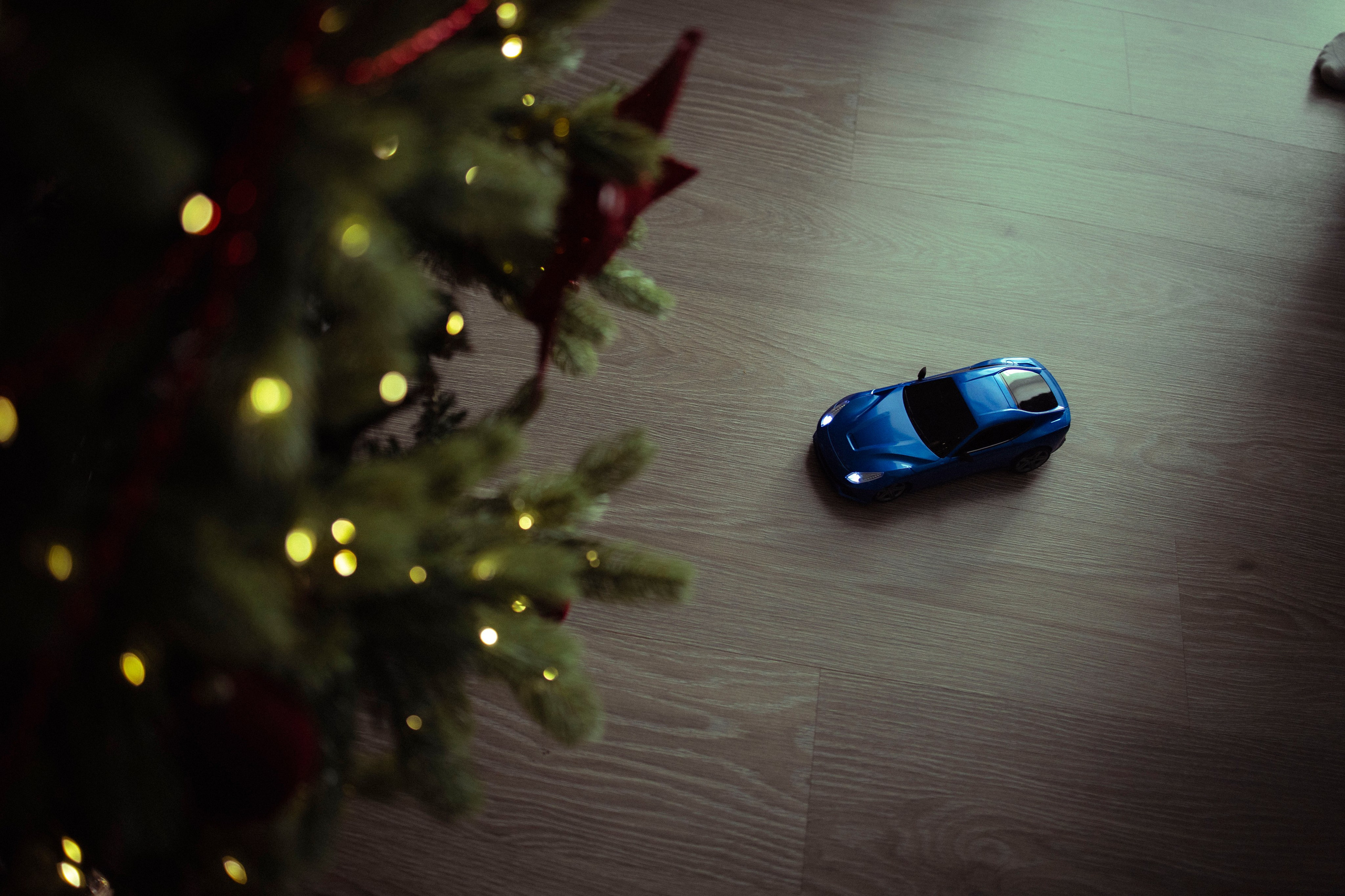 Влад и Даша. Фотограф Виктория Куприянова