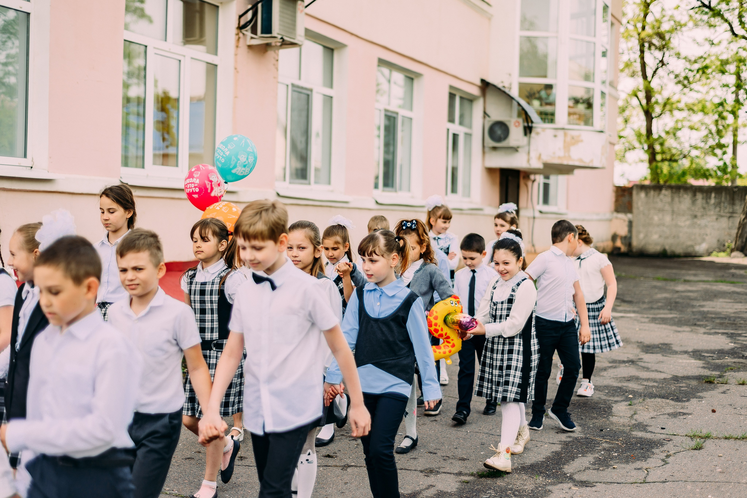 2 «А» | Школа № 17| г. Лиски |2022. ALBUMIA