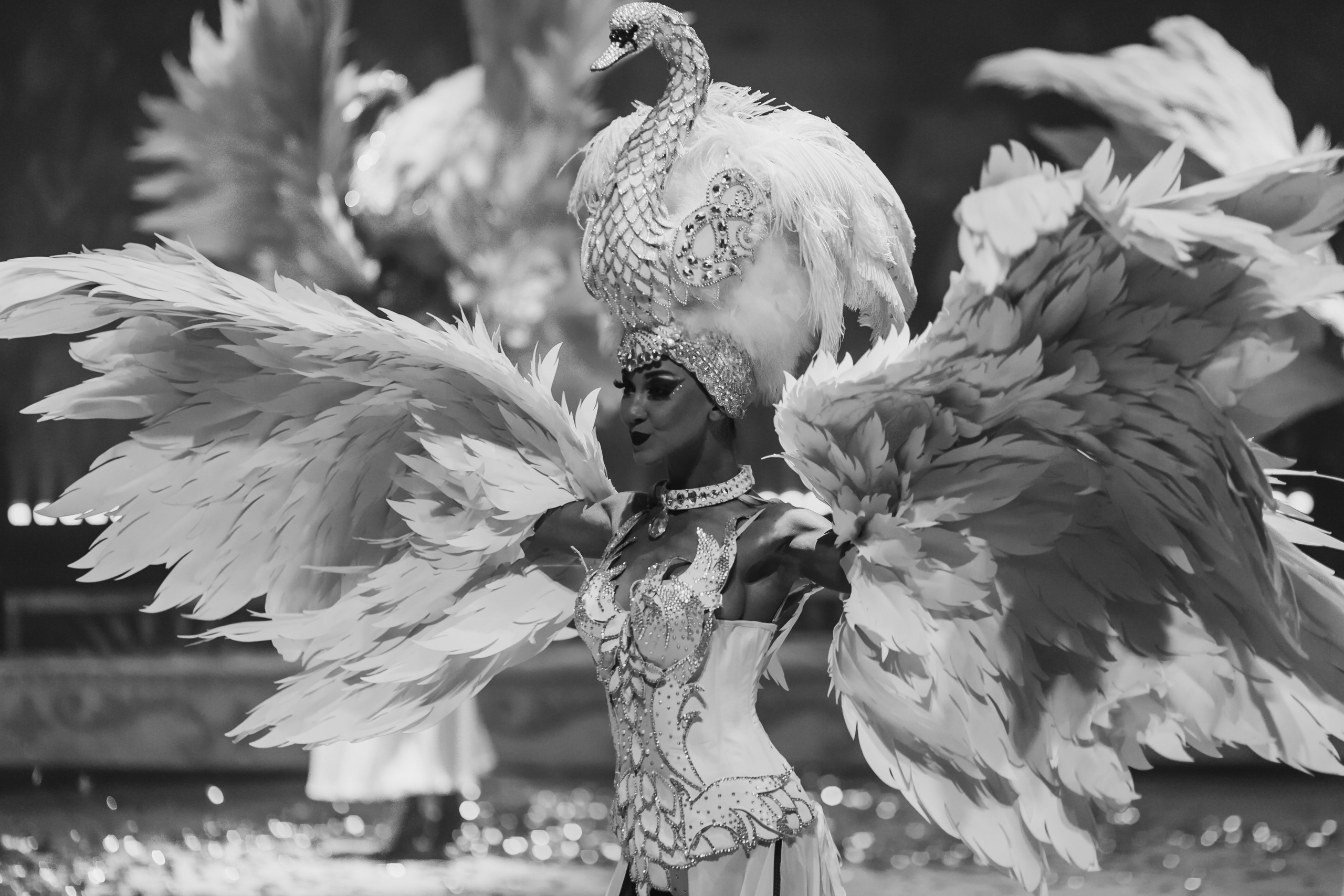 «Королевский цирк Гии Эрадзе» премьера и конференция. Команда фотографов