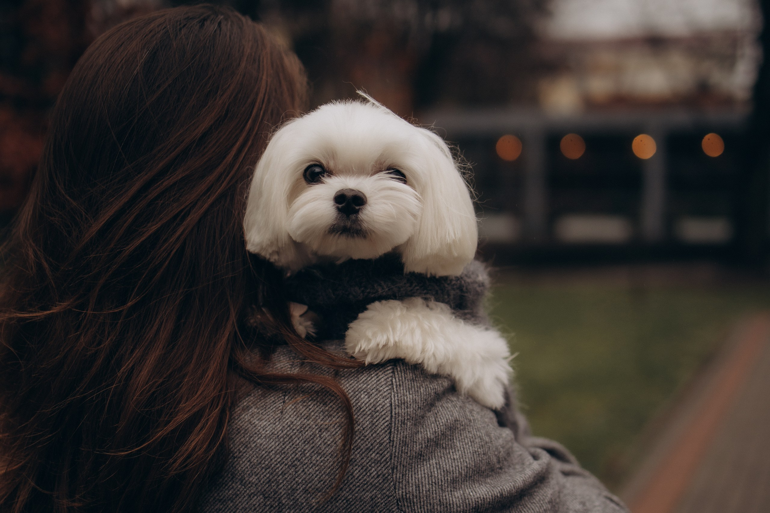 Осень. Семейный фотограф Анна Петрова