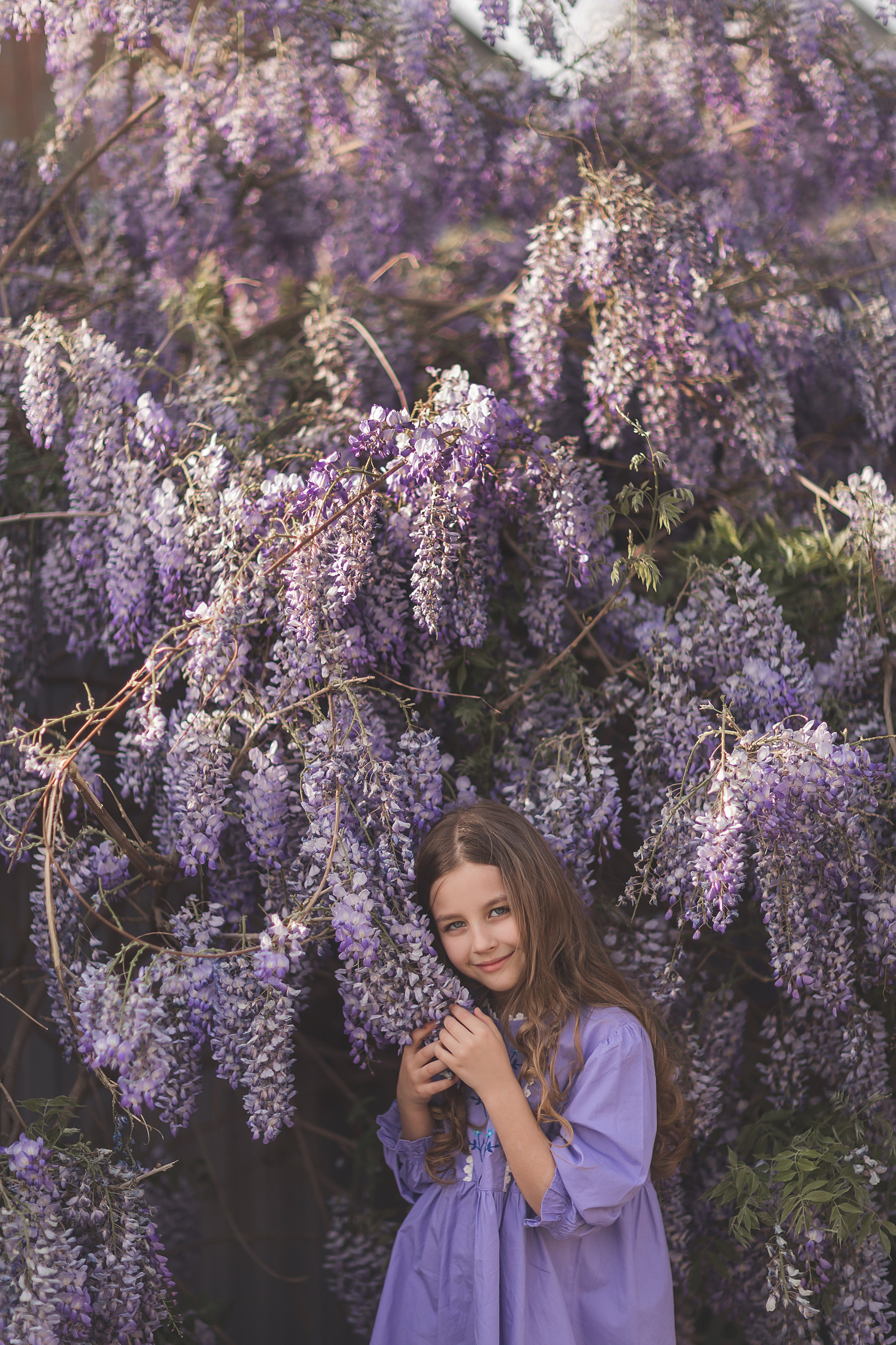 Глициния цветение в краснодаре. Семейный и детский фотограф Краснодар Валерия Власенко