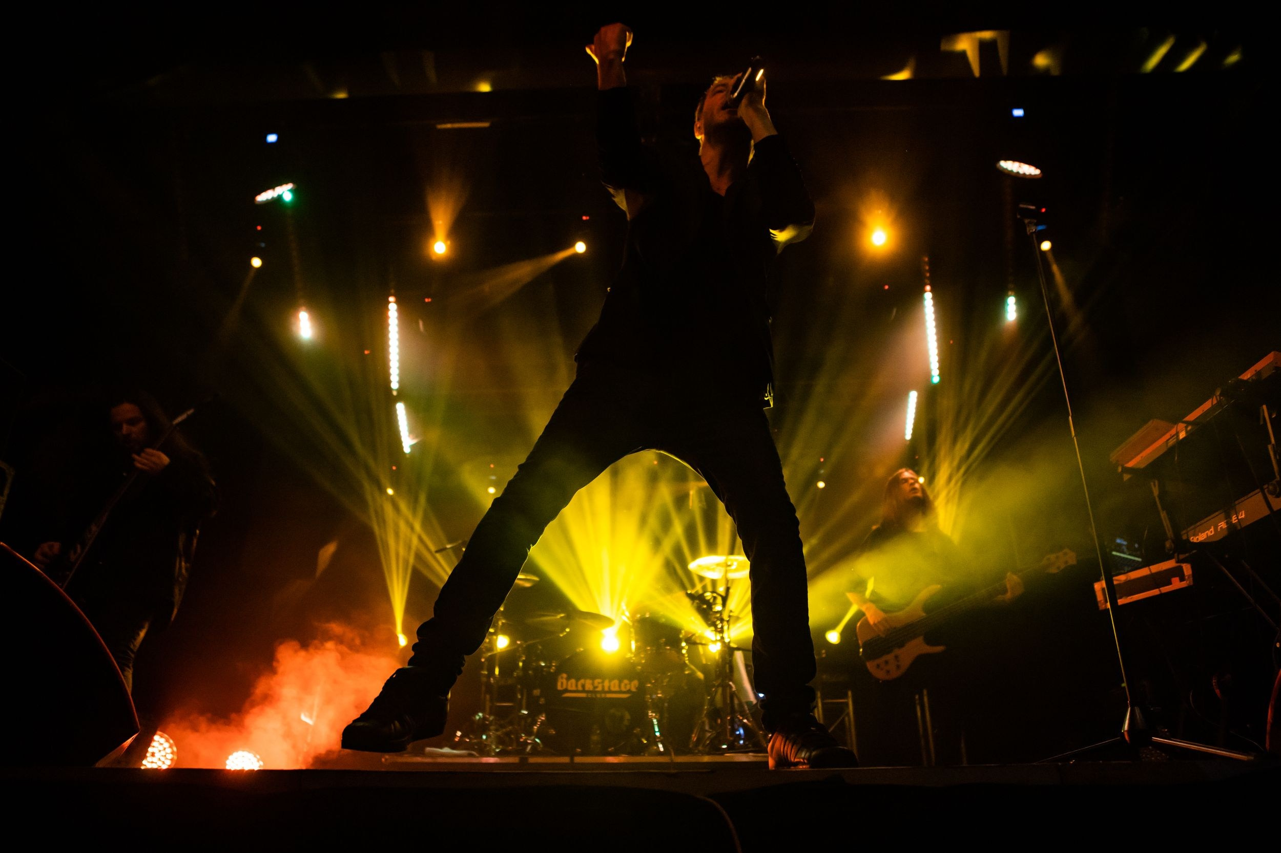 Animal ДжаZ. Репортажный фотограф Алексей Пирязев