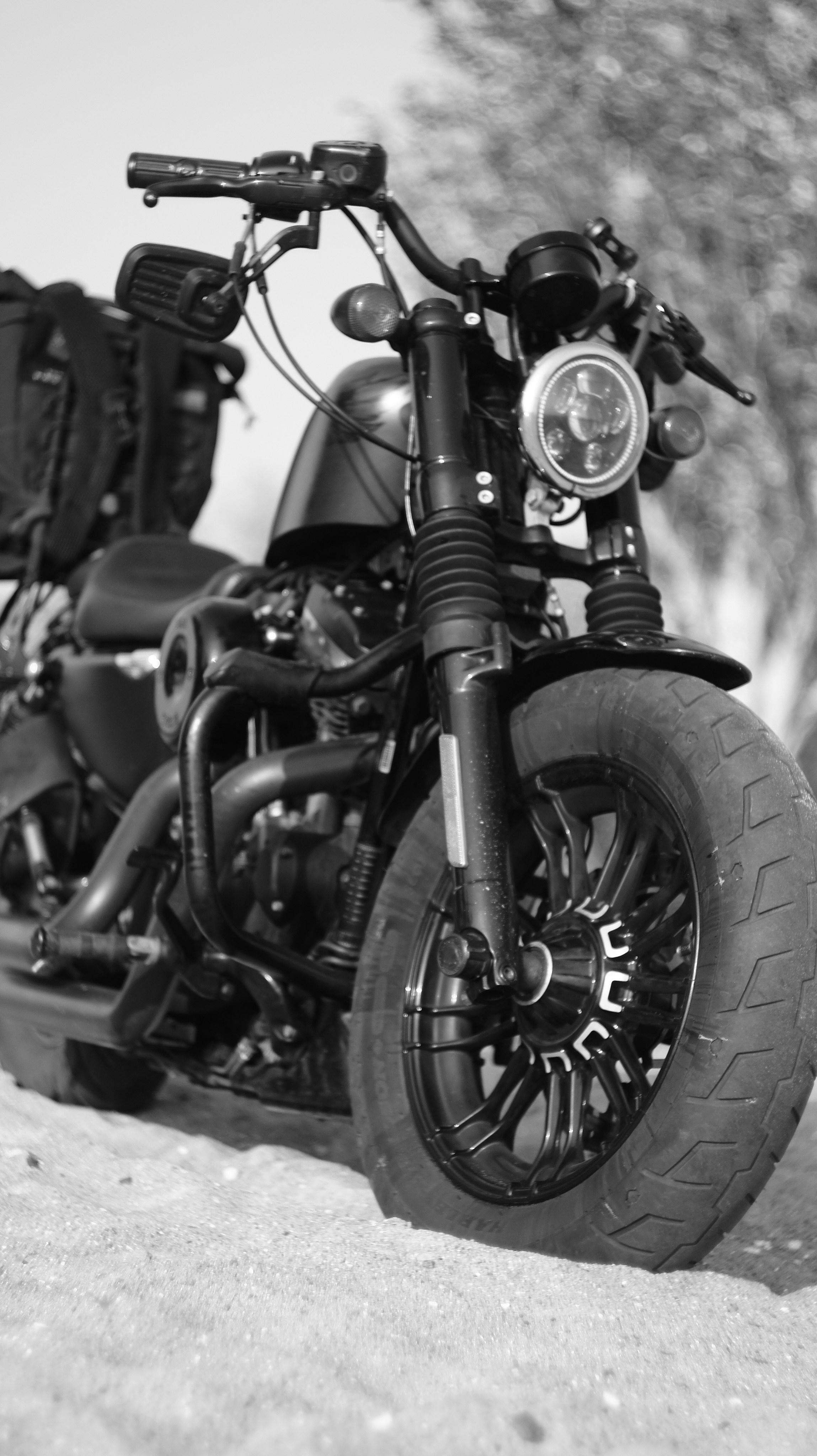Harley. Портретный фотограф в Санкт-Петербурге Юлия Чудикова
