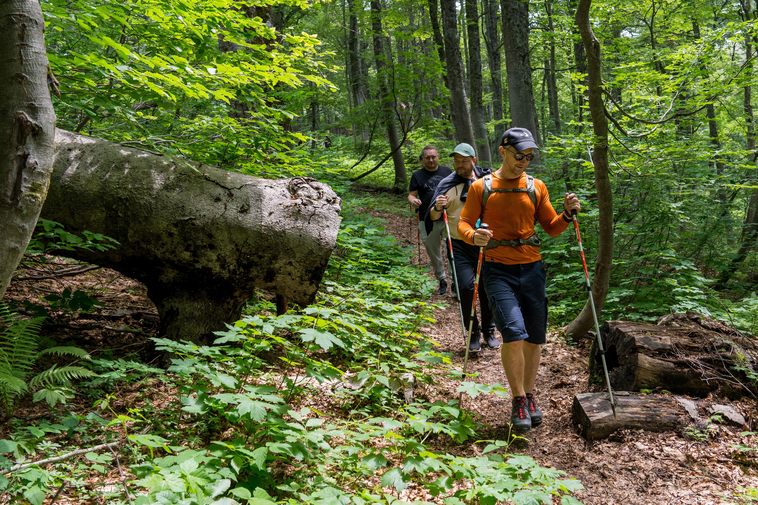 MICE мероприятие для компании «Доставка морем»: хайкинг к Ачипсинским водопадам. Репортажный фотограф в Красной Поляне и Сочи Павлюченко Екатерина