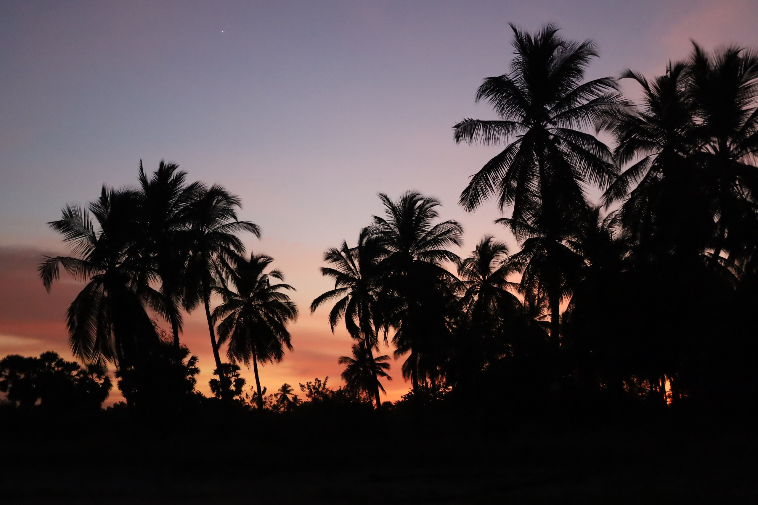 Главная. Фотограф Александра Кузуб Санкт-Петербург