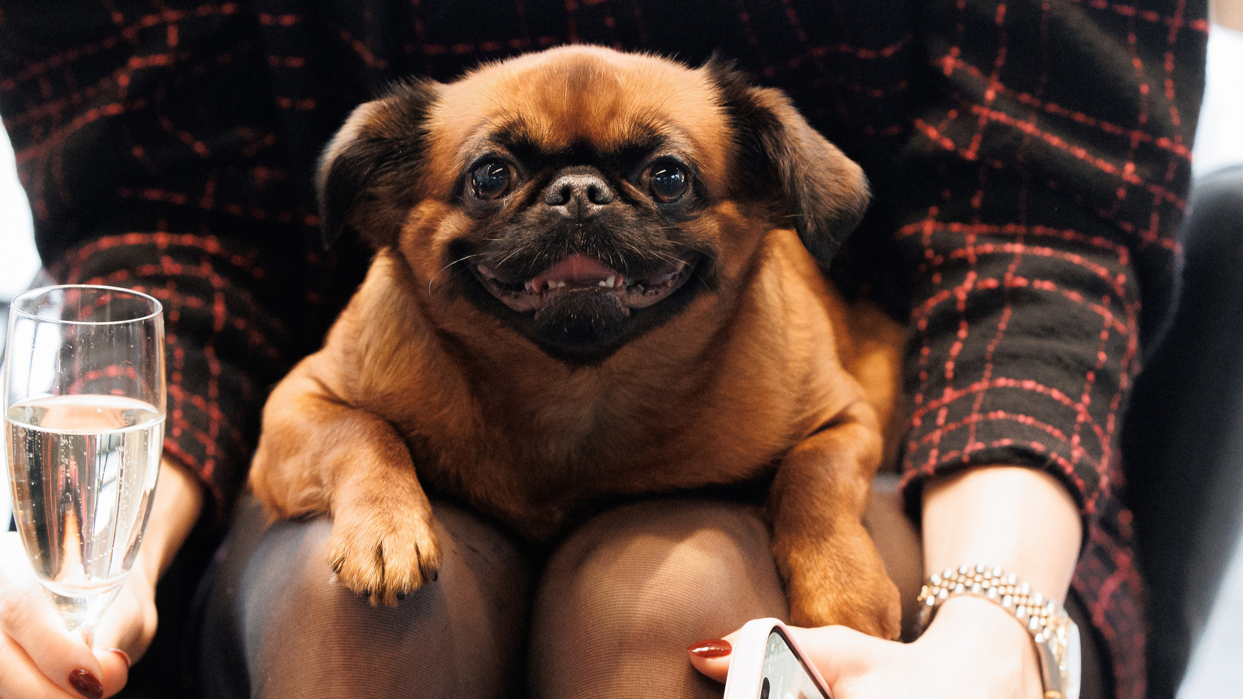 Fashion show SS24. Портфолио