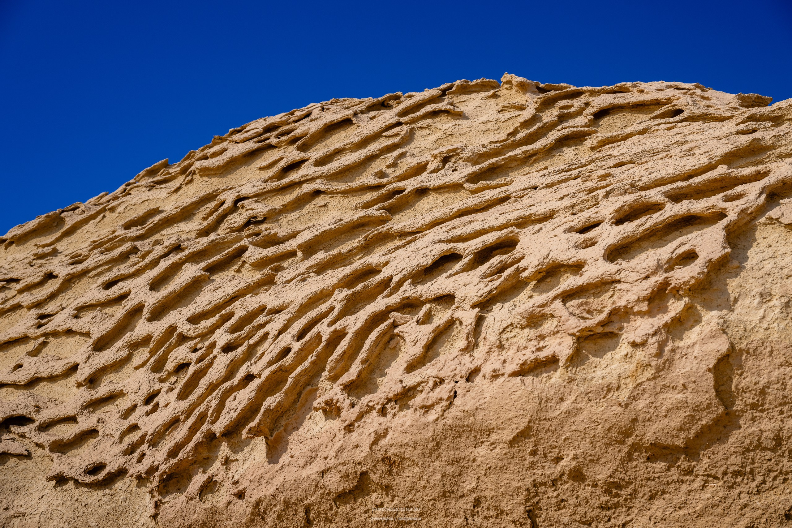 Снова в пустыню, за скелетами…. Авторские стильные фотокартины