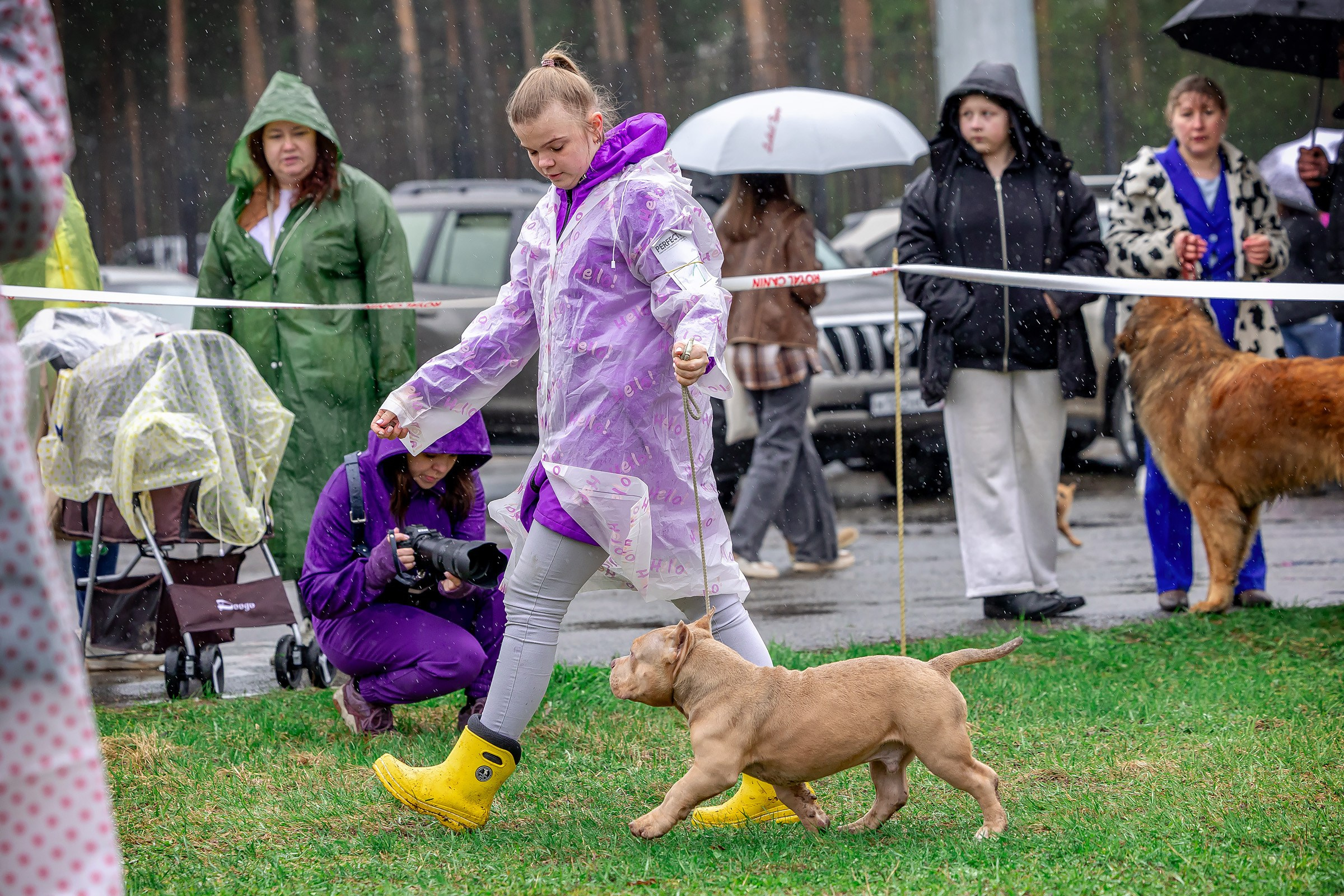 11 мая 2025, Выставка РКФ, г. Пермь. Htykk_photo