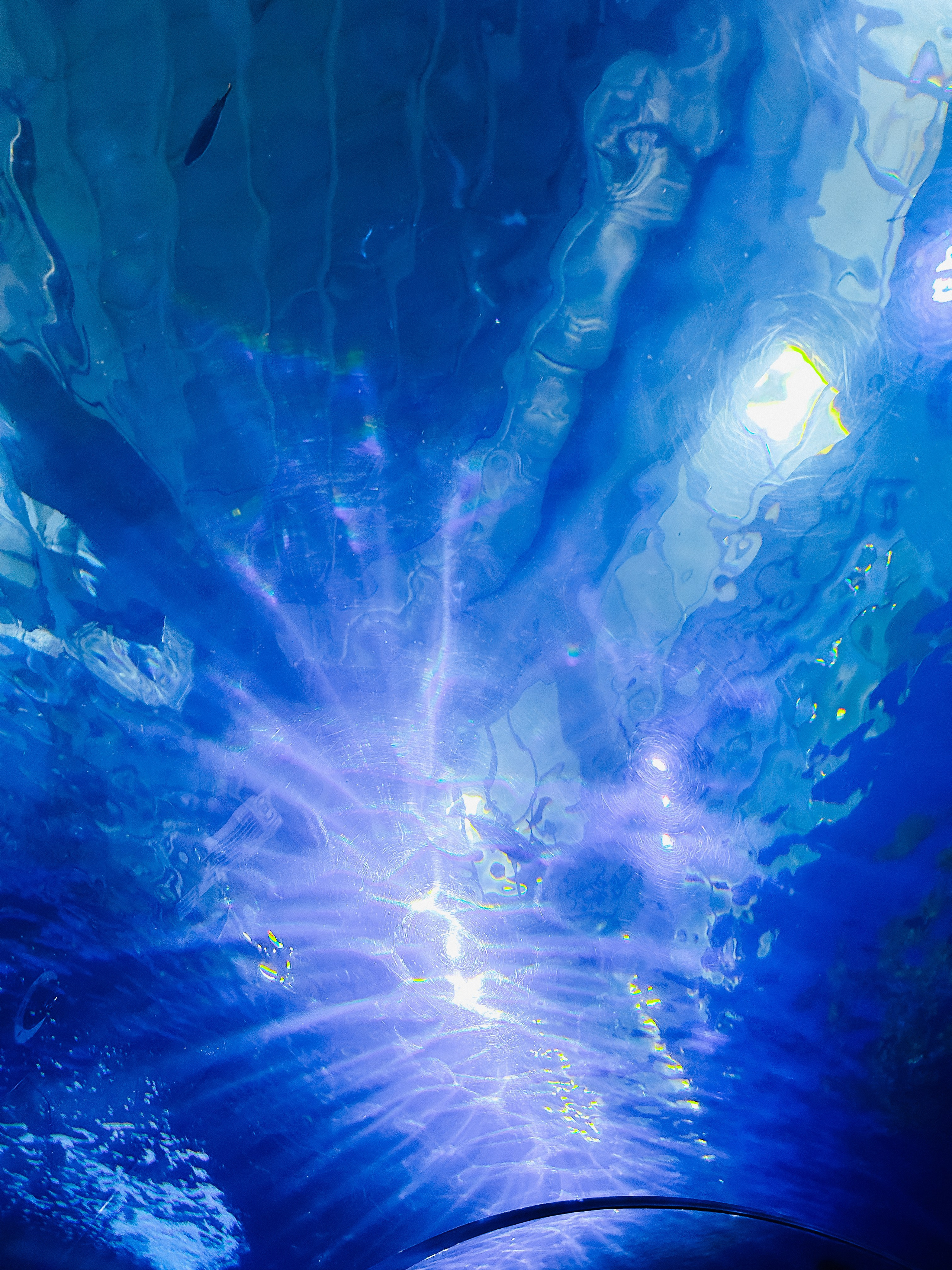 Владивосток. Фотограф Севастополь, Крым. Портретный и репортажный фотограф Коваленко Антонина