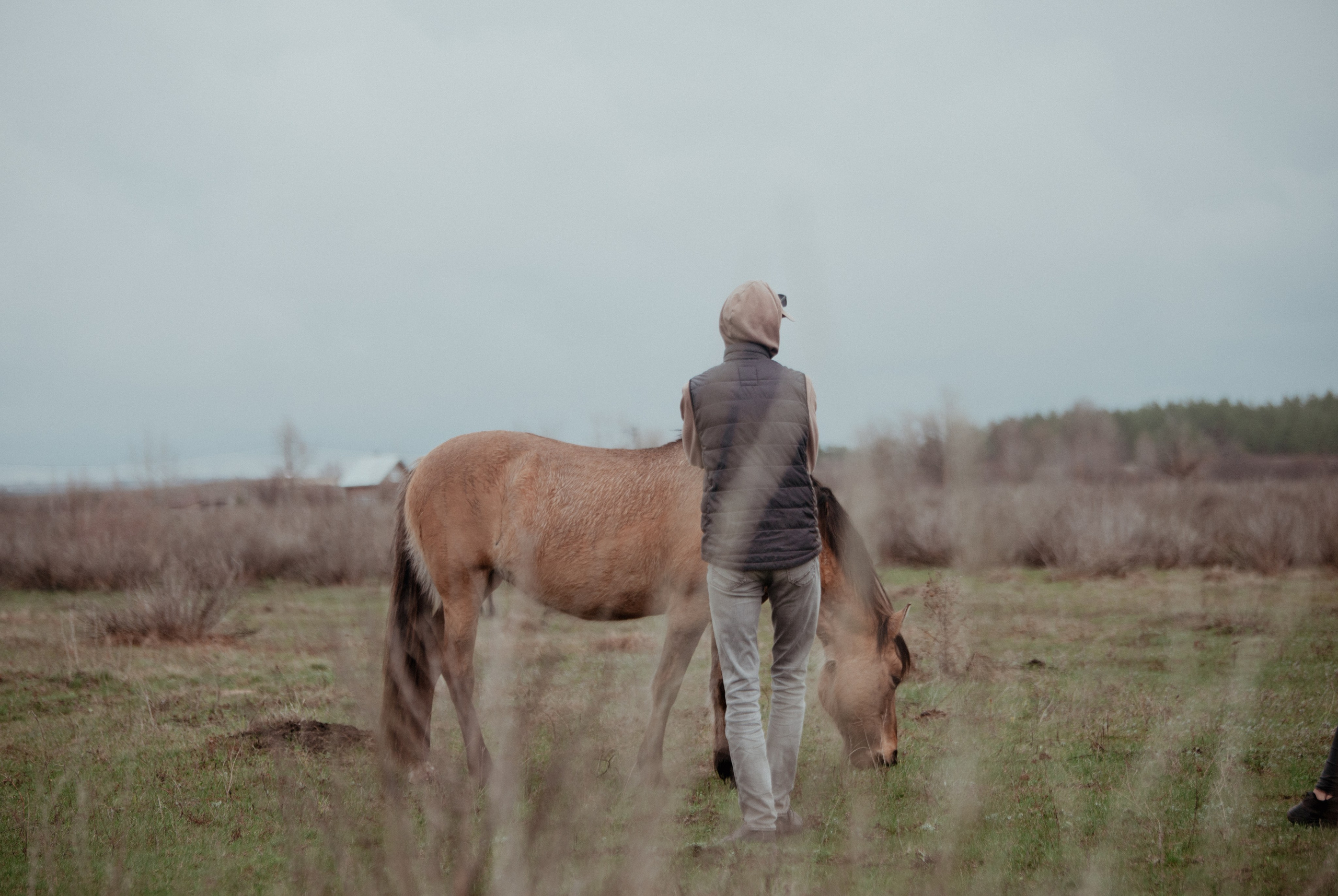 Прикосновение. Конный фотограф в Саратове Юлия Иванова