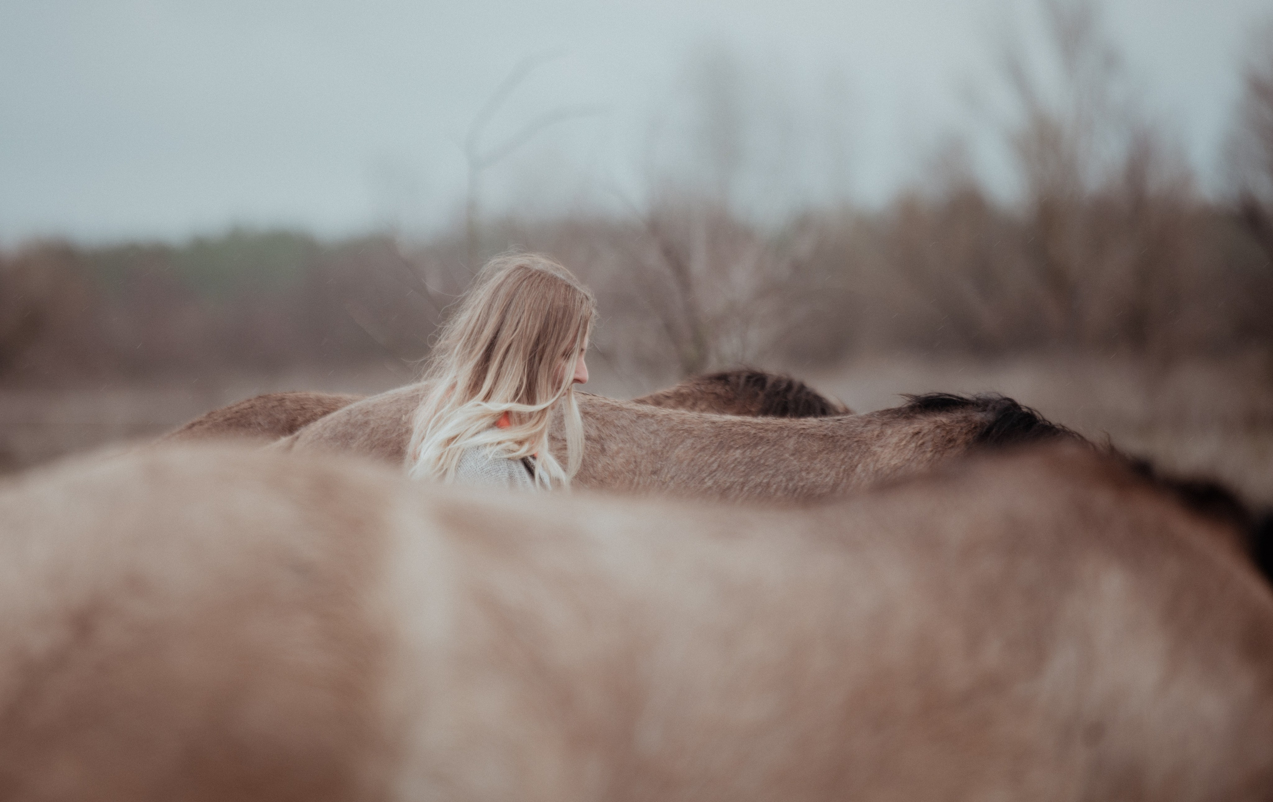 Прикосновение. Конный фотограф в Саратове Юлия Иванова