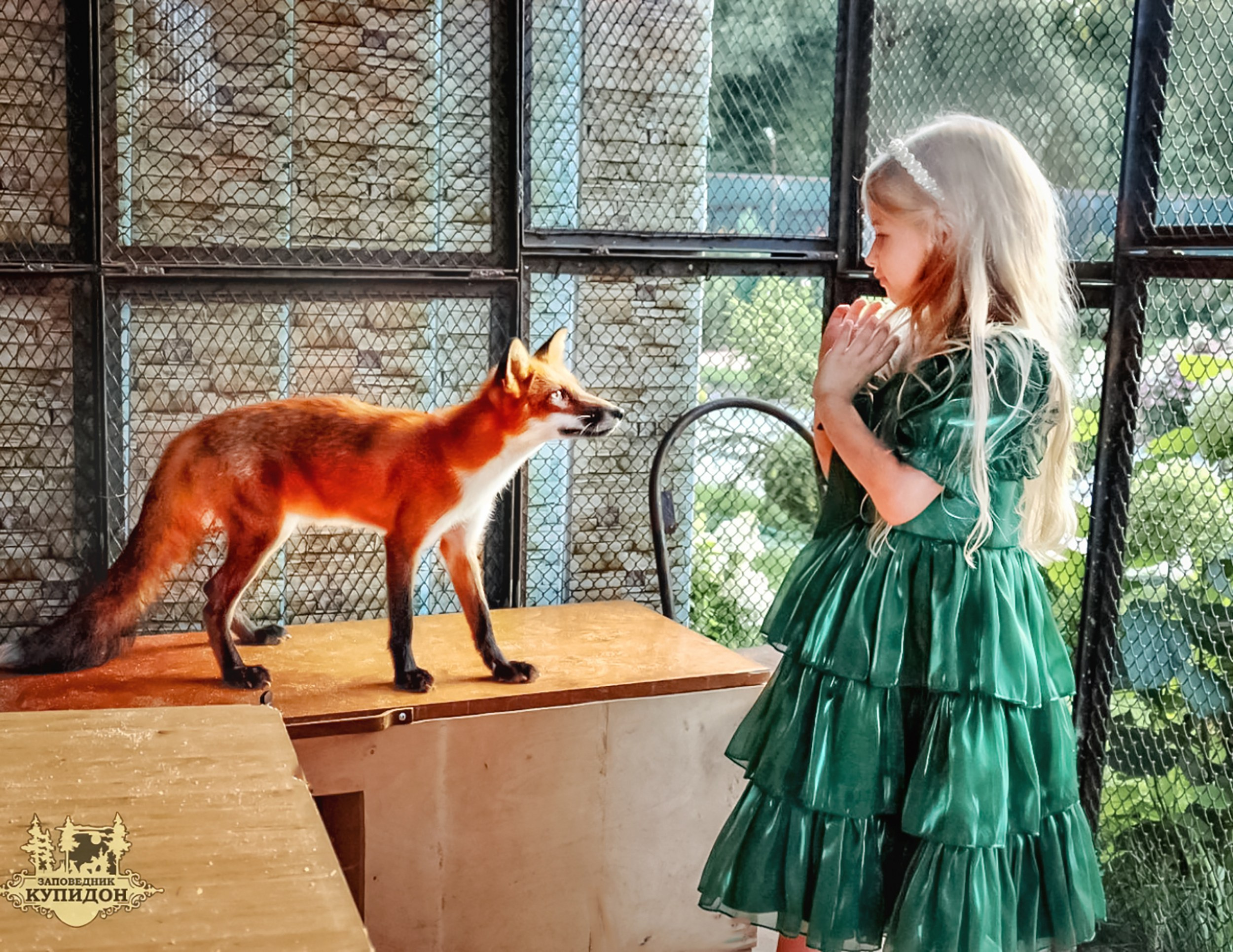 Детская съёмка. Семейный фотограф в Димитровграде Елена Патрушева