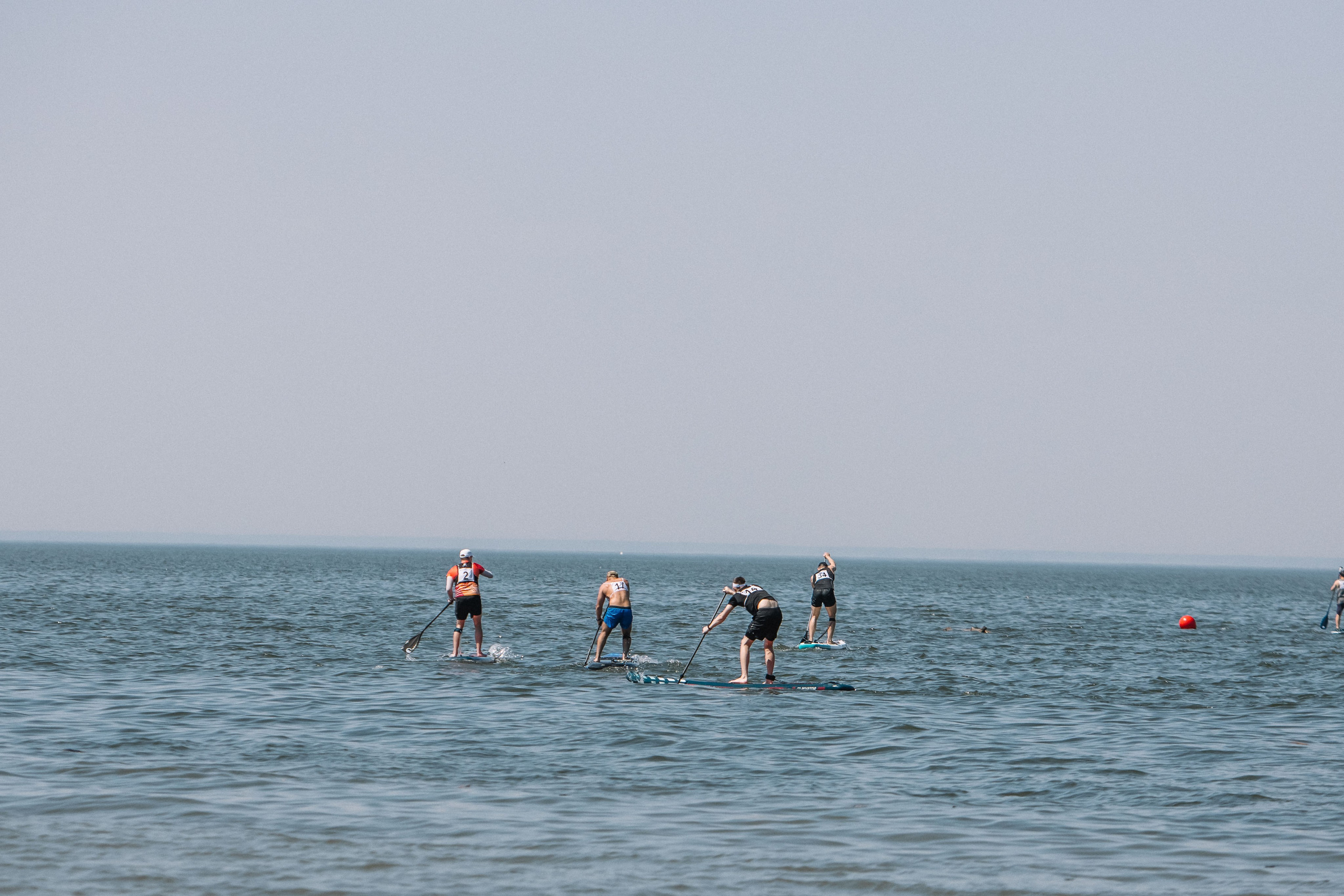 Чемпионат и первенство по НСО по серфингу. Репортажный фотограф в Новосибирске
