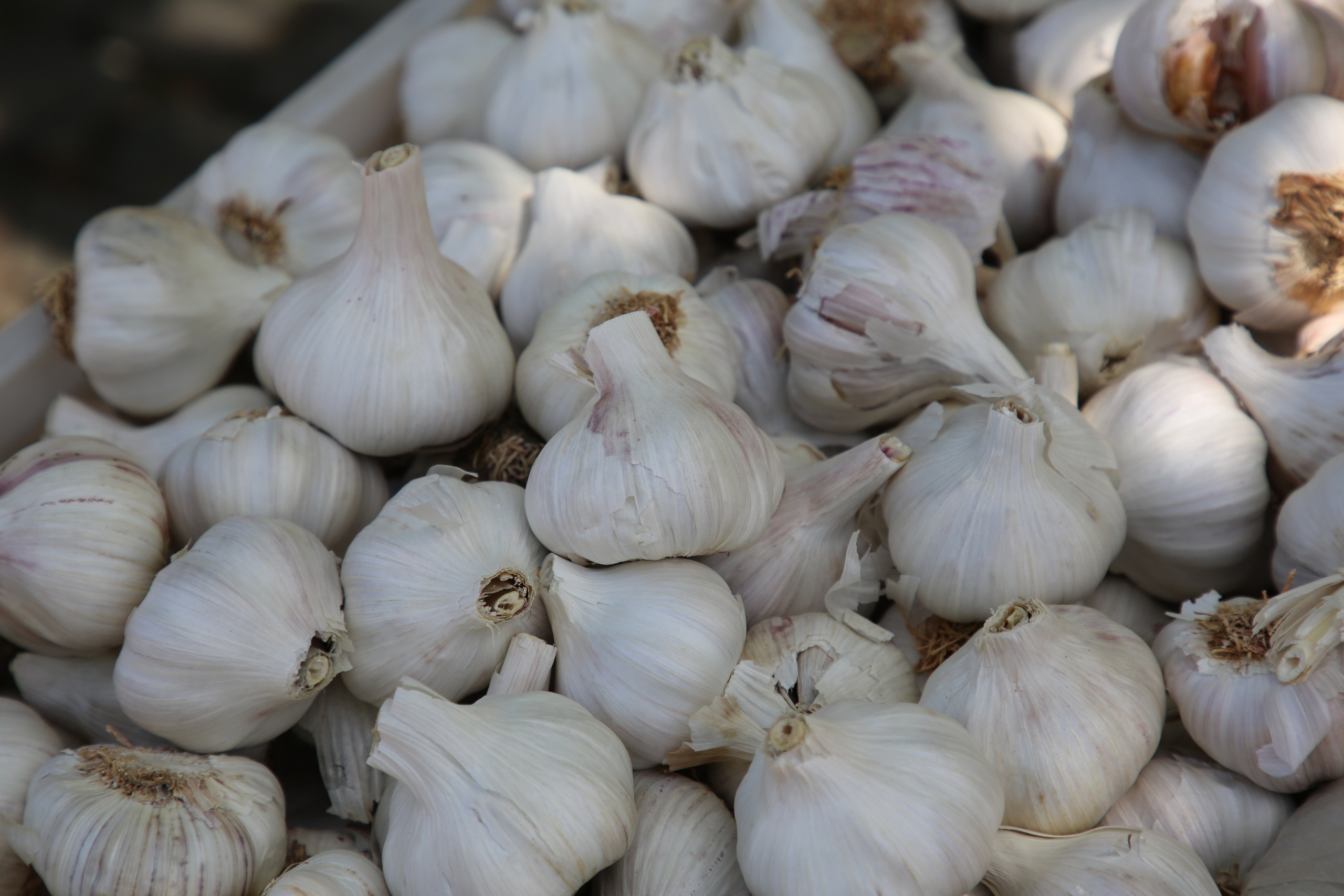 Espihnio, Portugal. Andrey Filippov Photographer