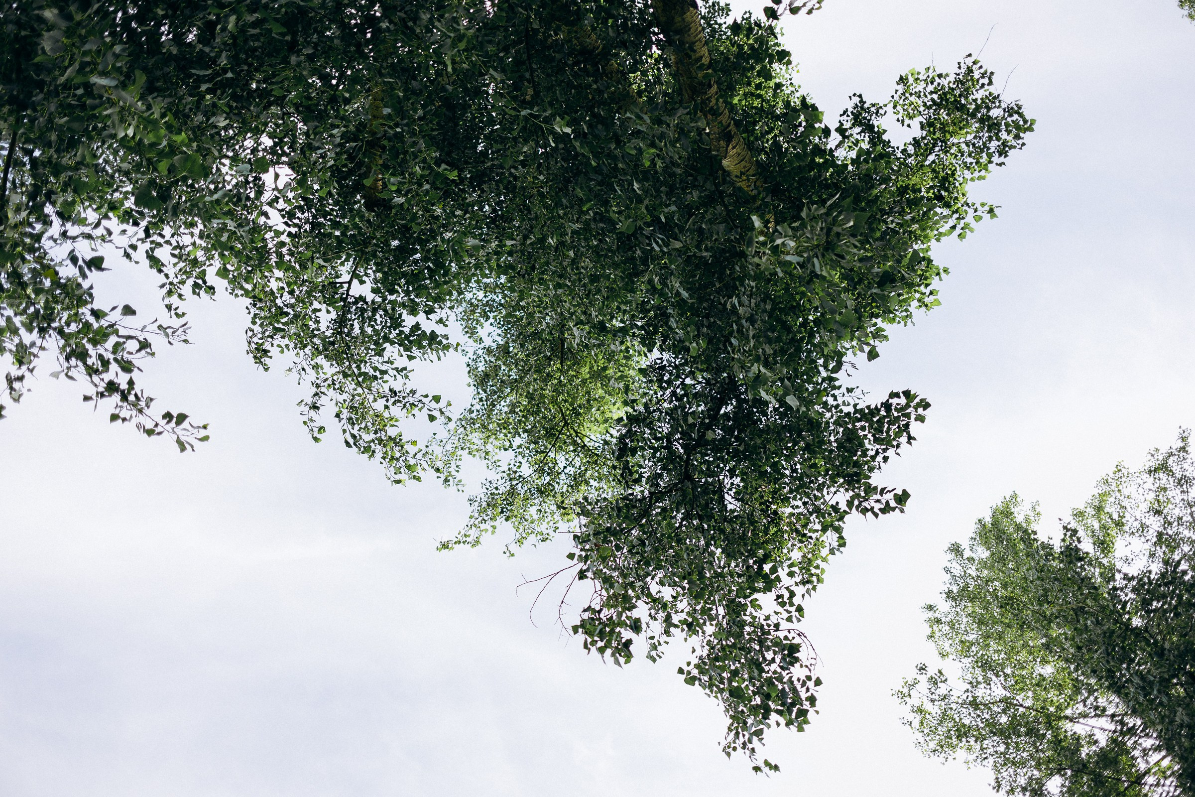 Юрий и Ольга. Свадебный и семейный фотограф в Красноярске Анастасия Турчанова