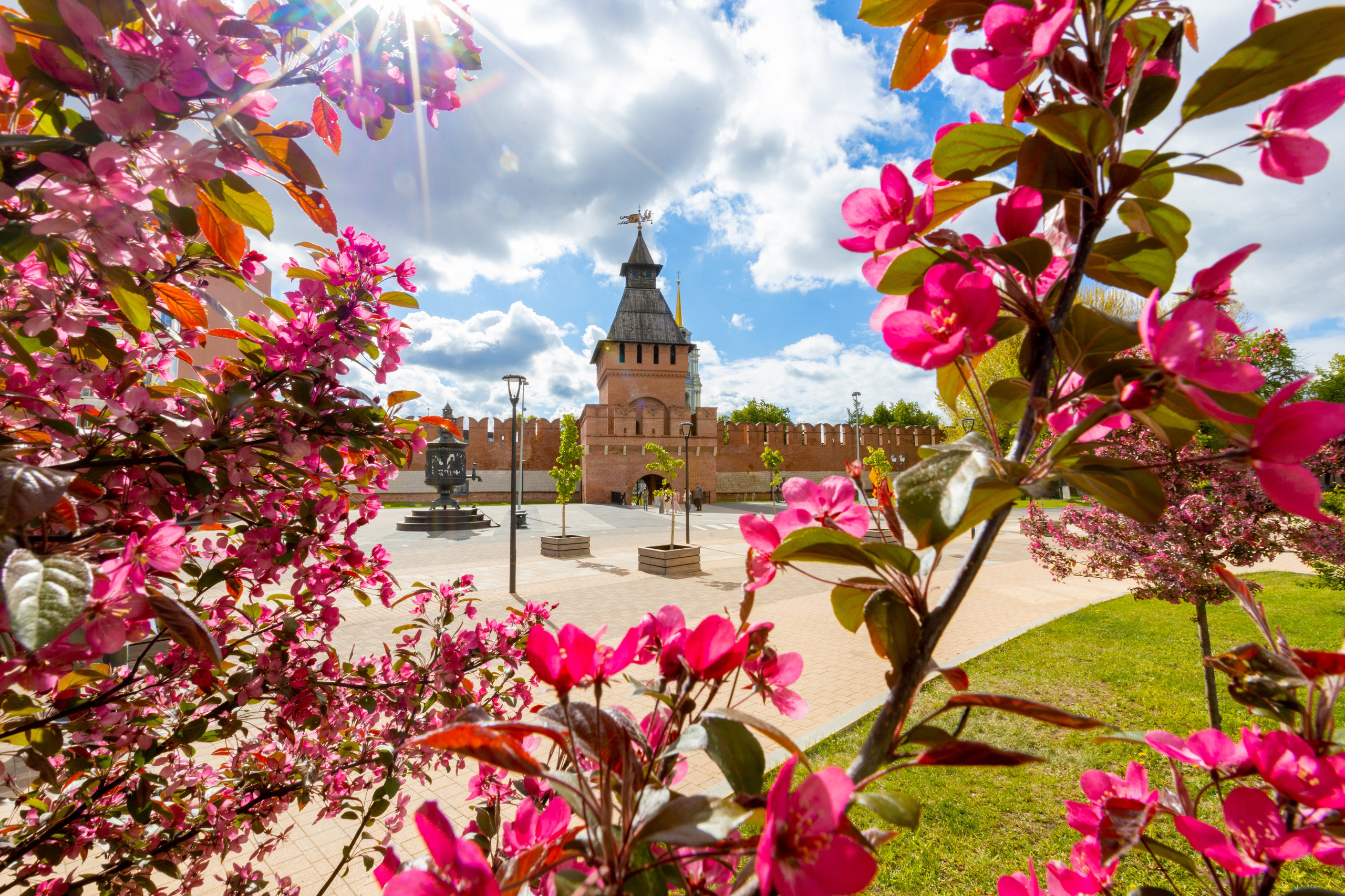 Весеннее цветение в Туле. Фотограф в Туле Крупский АнДРей. Фотостудия «КАДР71» в Туле