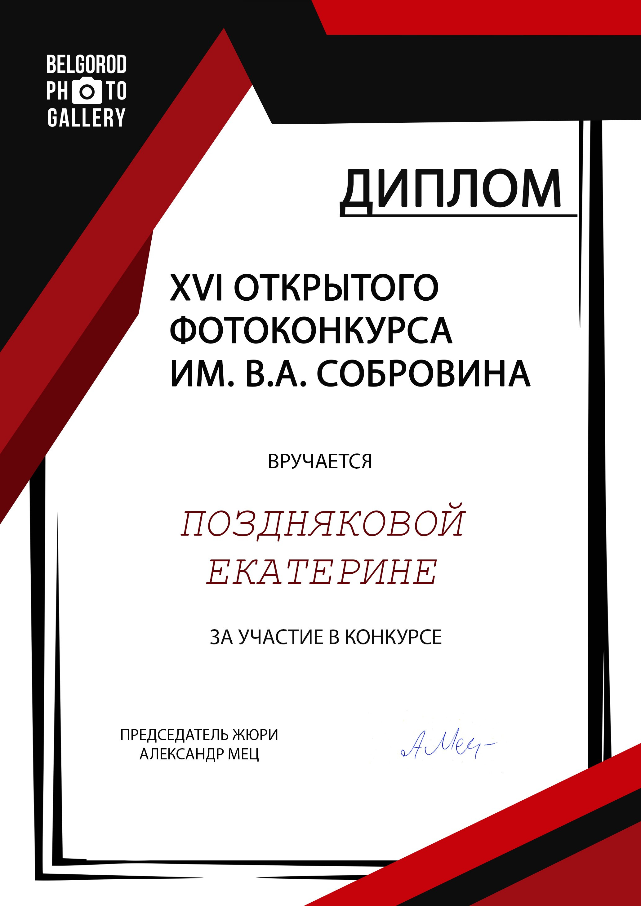 Выставка в галерее имени В. Собровнина. г. Белгород. Россия. Art Рhotographer Russia/Moscow