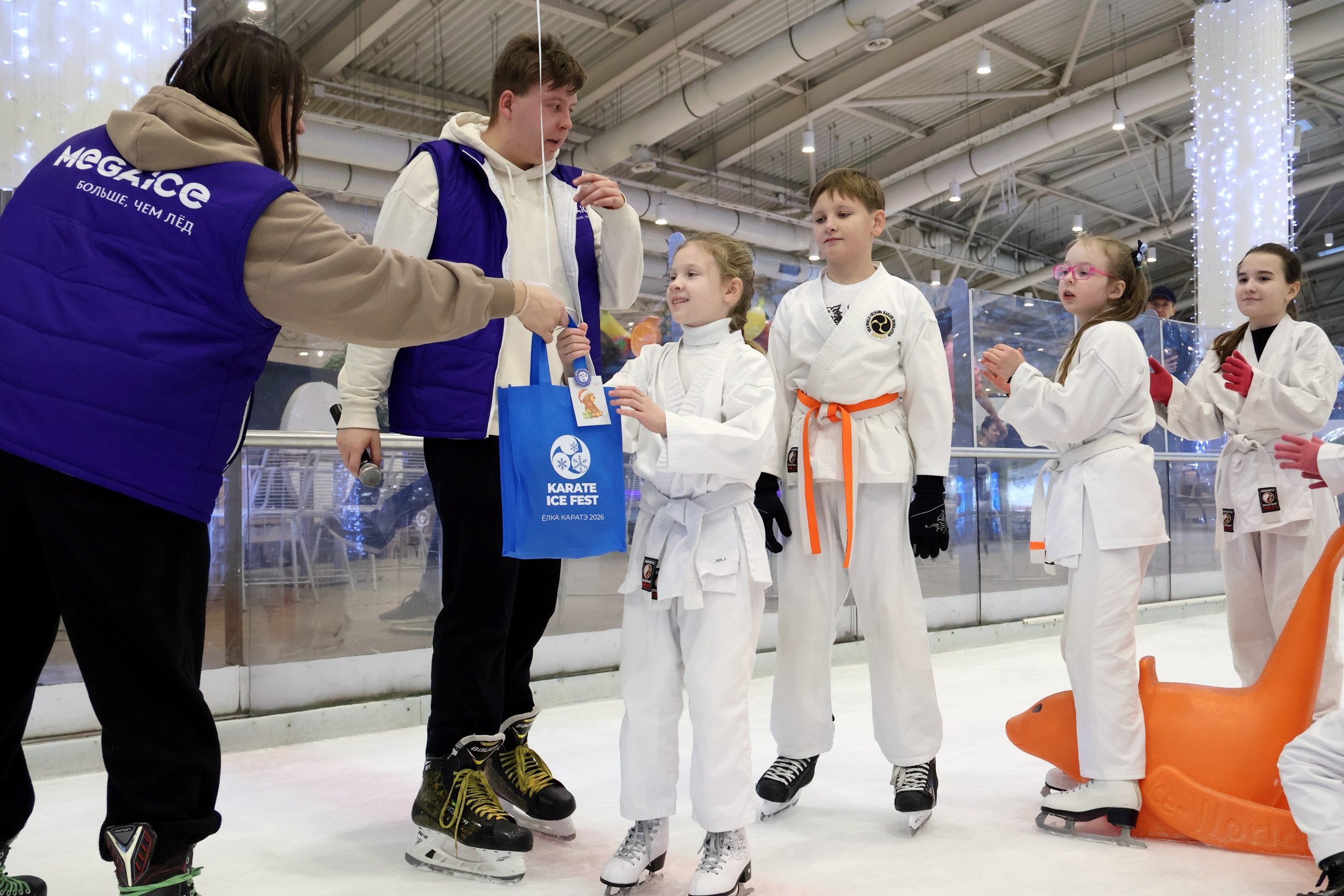 Елка каратэ на катке. Спортивный и репортажный фотограф Ермакова Светлана