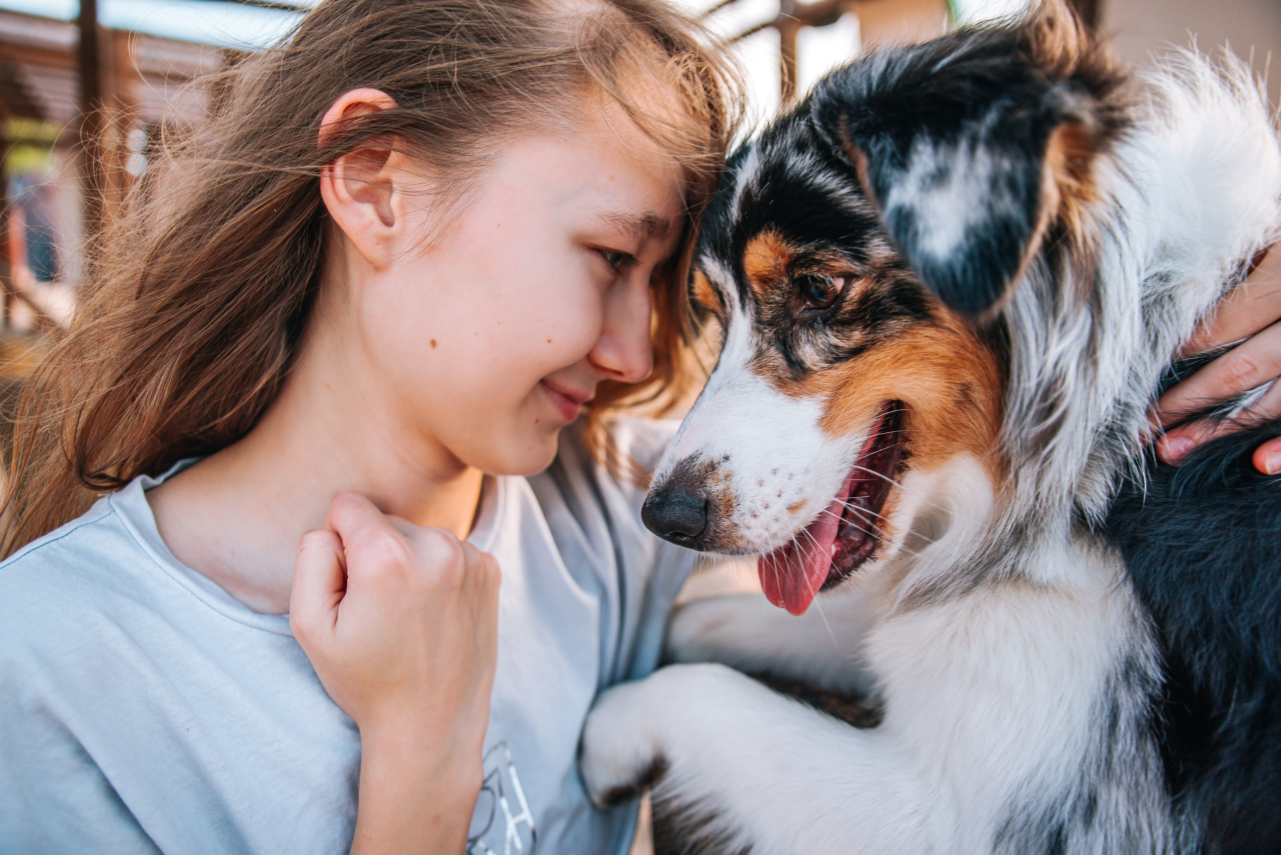 No Bad Days. Главная
