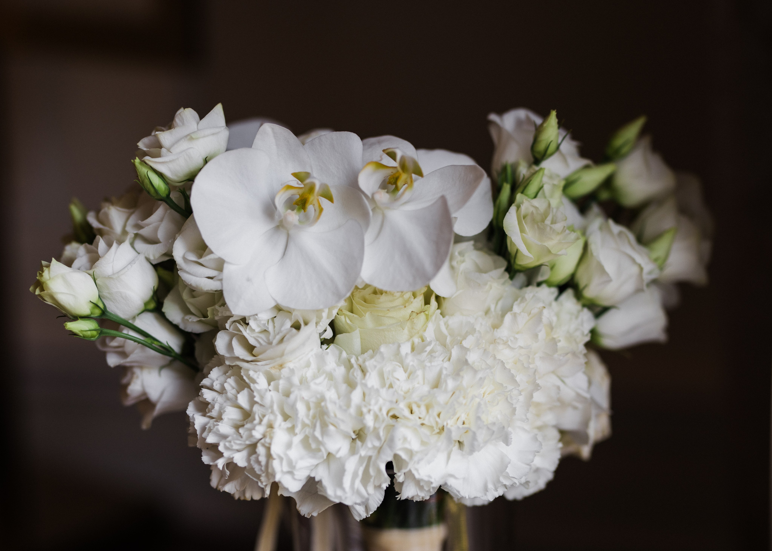 Влада и Константин. Портретный и свадебный фотограф в Пушкине и Санкт-Петербурге