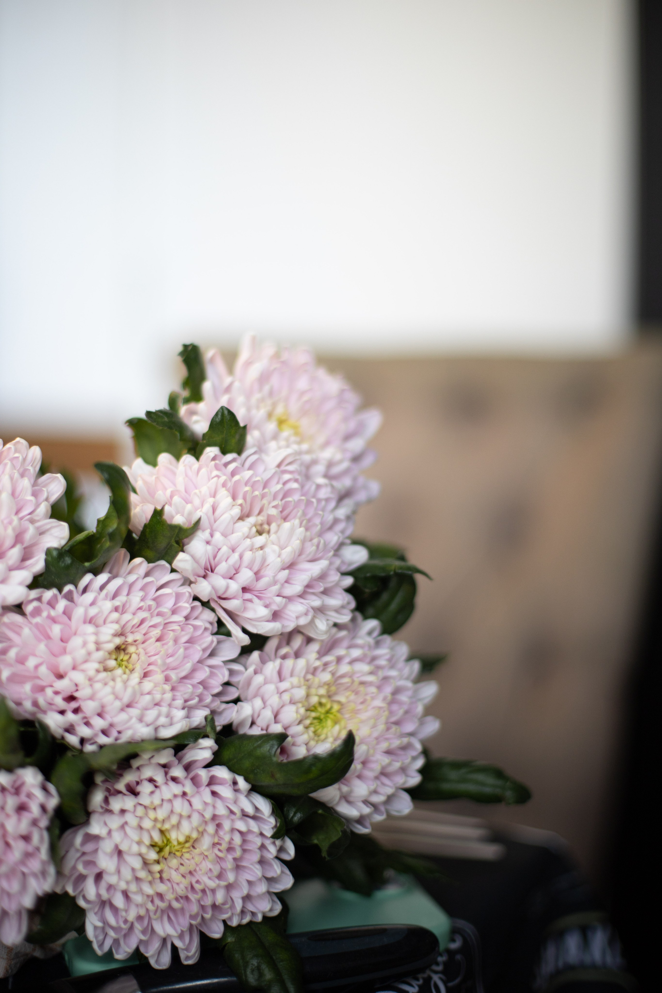 День рождения Оксаны. SaGaFOTO.ru