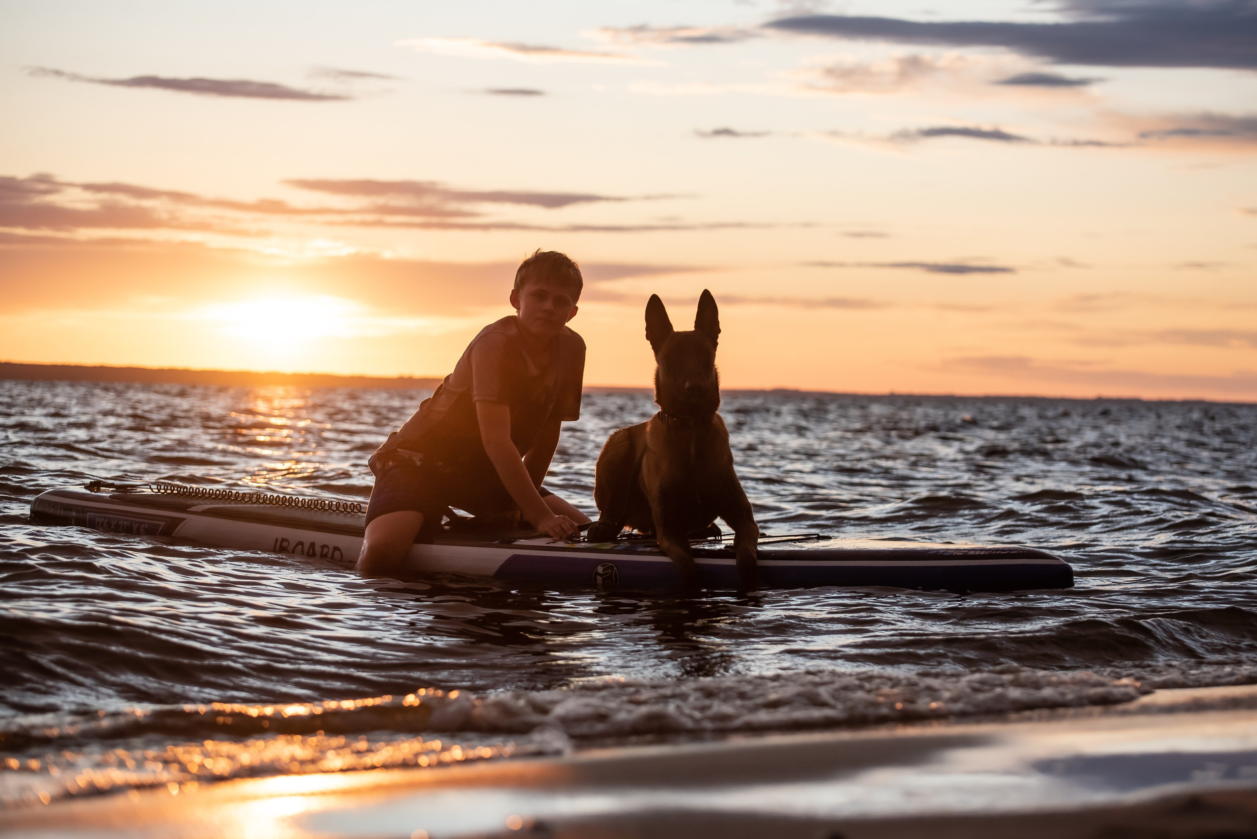 Фотограф анималист. Фотограф Макс Огурцов в Нижнем Новгороде