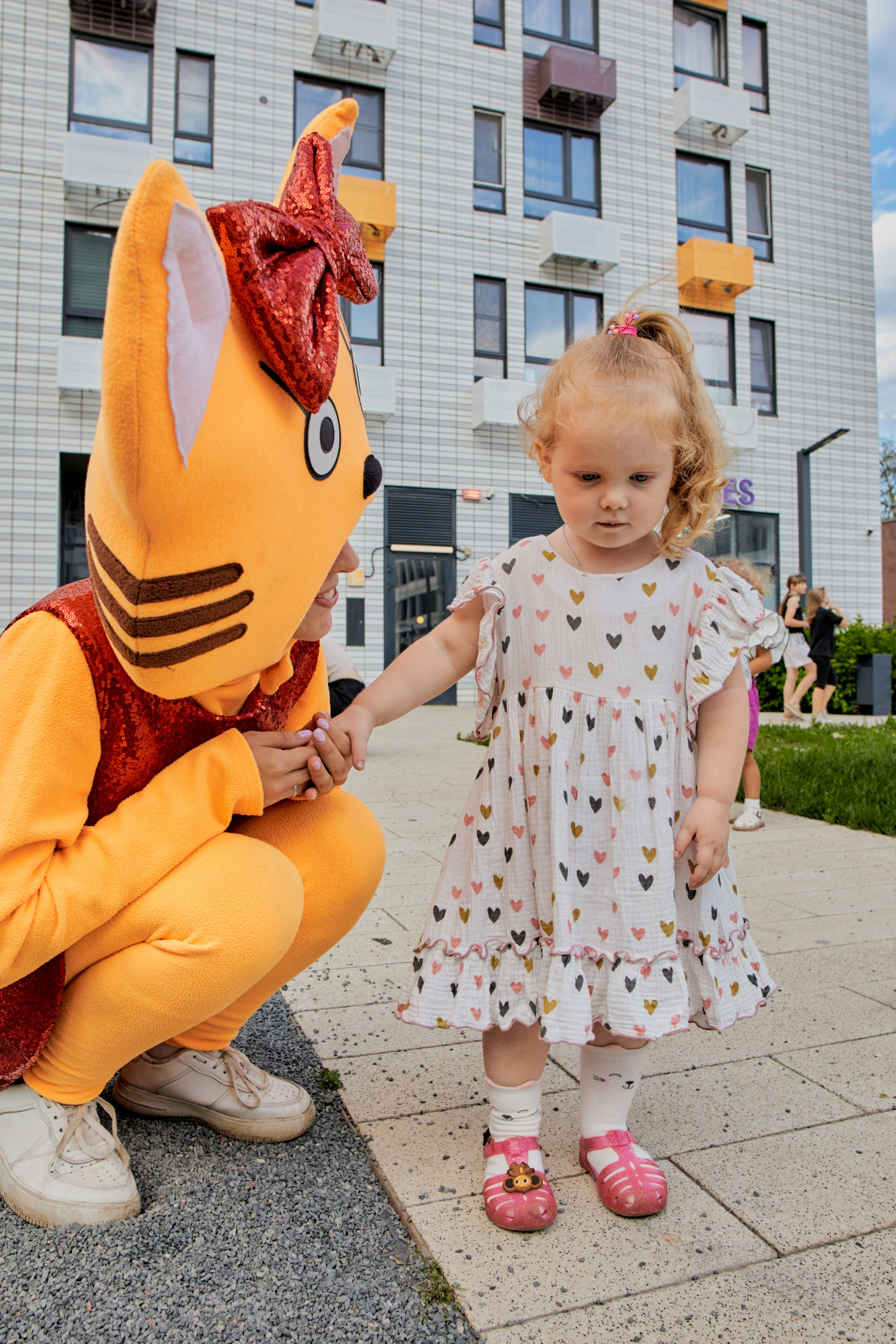 Три кота. Фотограф Москва