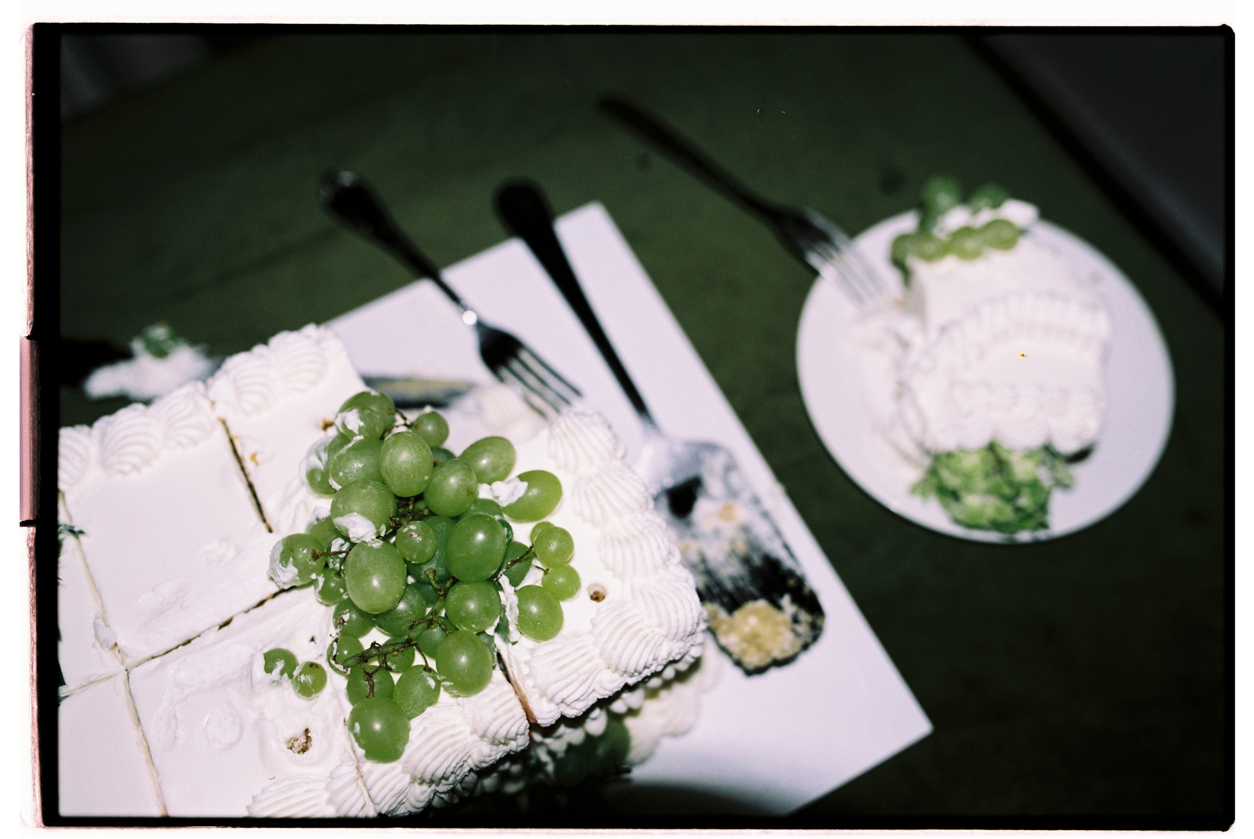 Зеленая тропа, уютная свадьба под дождем. Афина Ефимова. Свадебный фотограф Москва