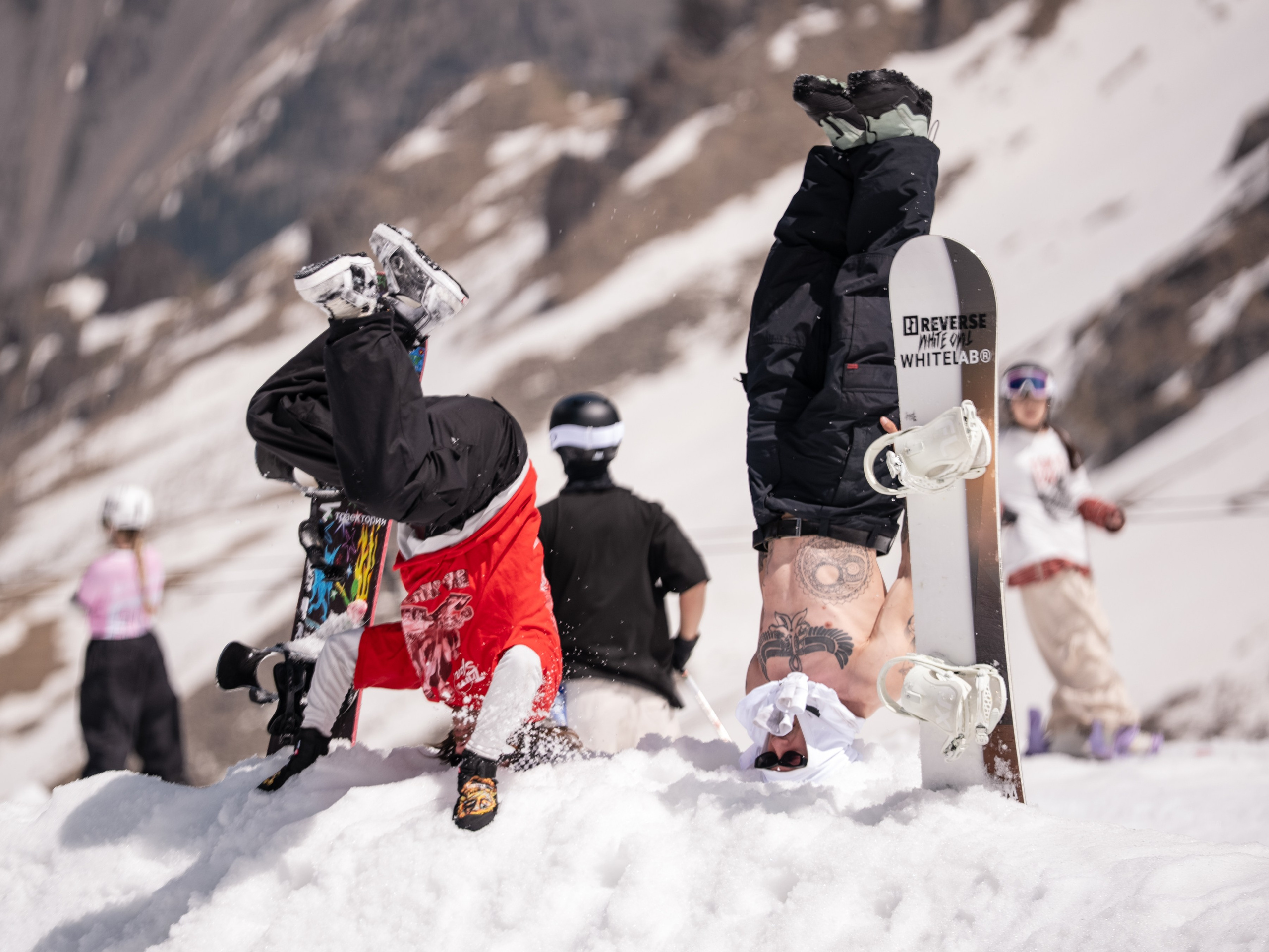 Gorilla IMBA CAMP 2026. Сайт Алматинского НЮ АРТ, будуар и фэшн фотографа Дениса Карпенко