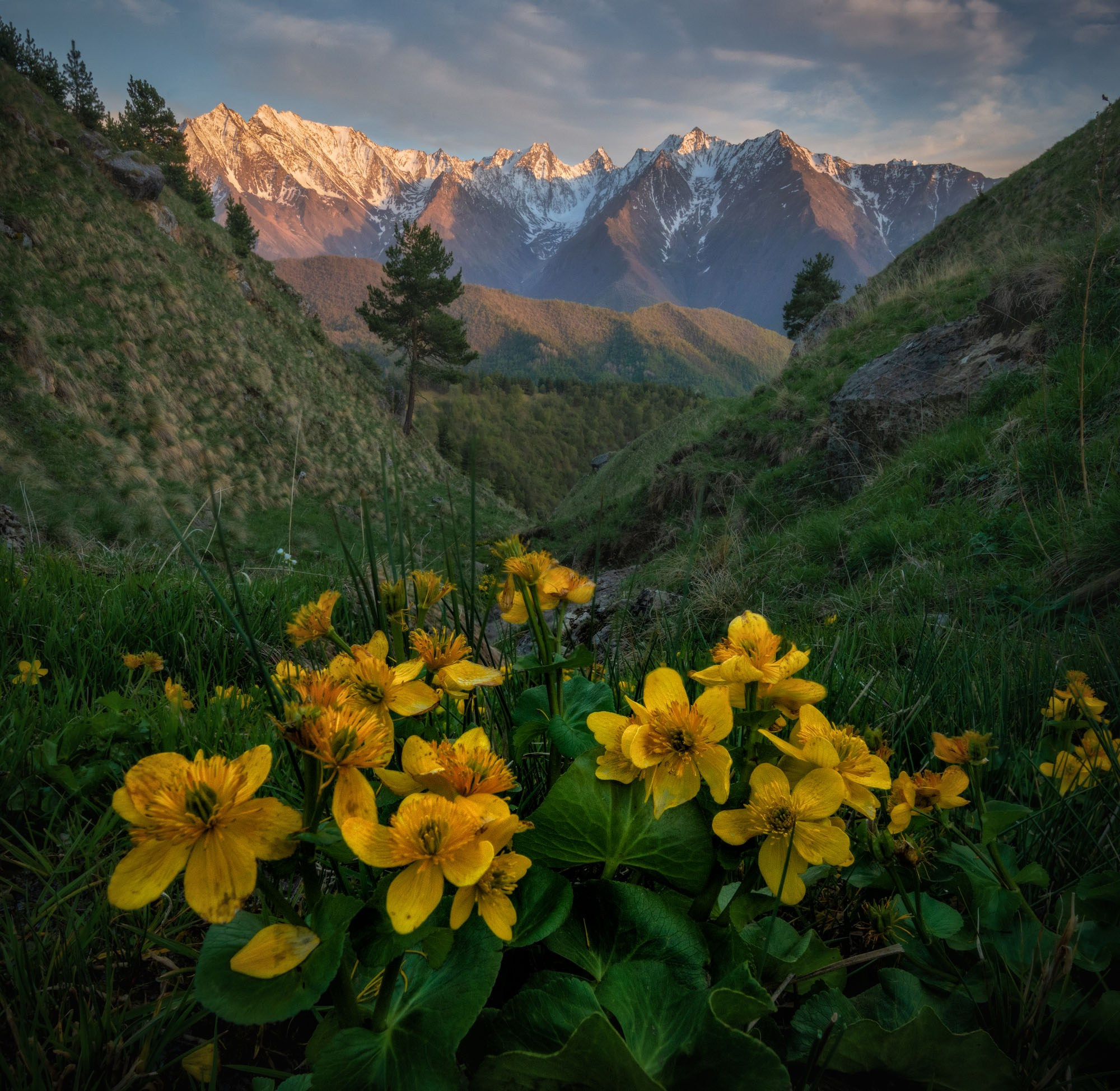 Фотографии Ингушетия