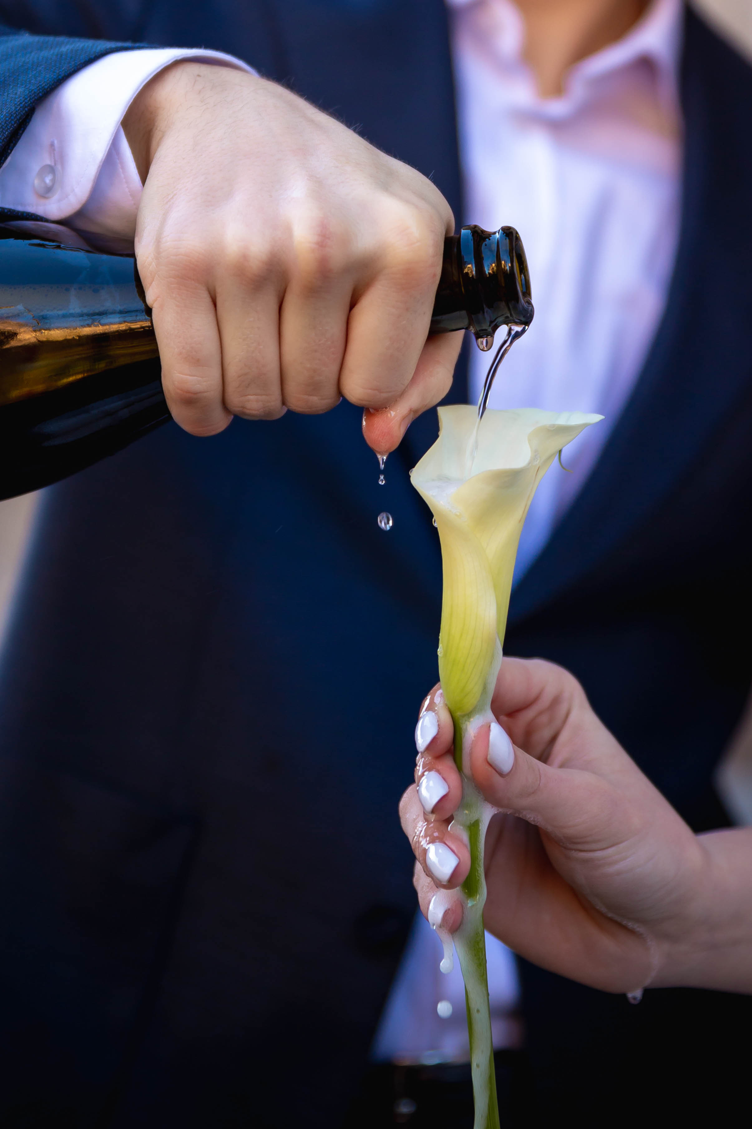 Василий и Анна. Репортажный, семейный, свадебный фотограф Санкт-Петербург Ольга Лесюк