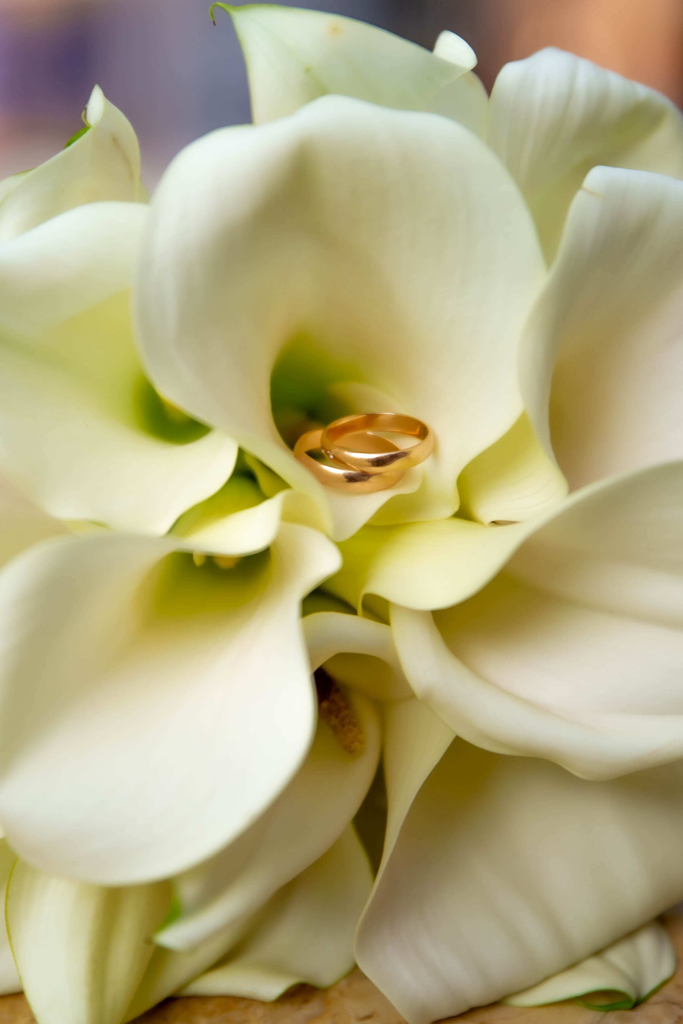 Василий и Анна. Репортажный, семейный, свадебный фотограф Санкт-Петербург Ольга Лесюк