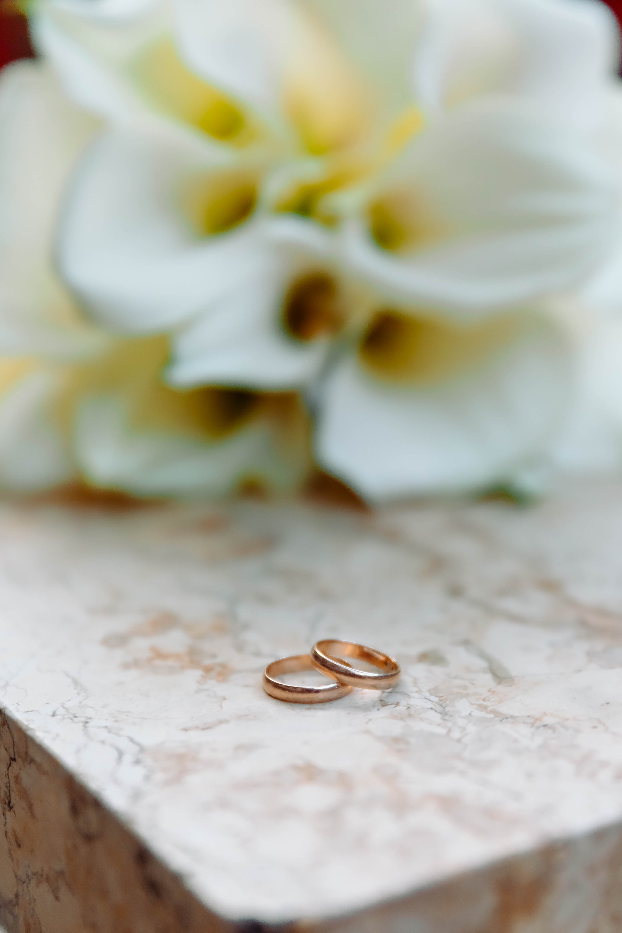 Василий и Анна. Репортажный, семейный, свадебный фотограф Санкт-Петербург Ольга Лесюк