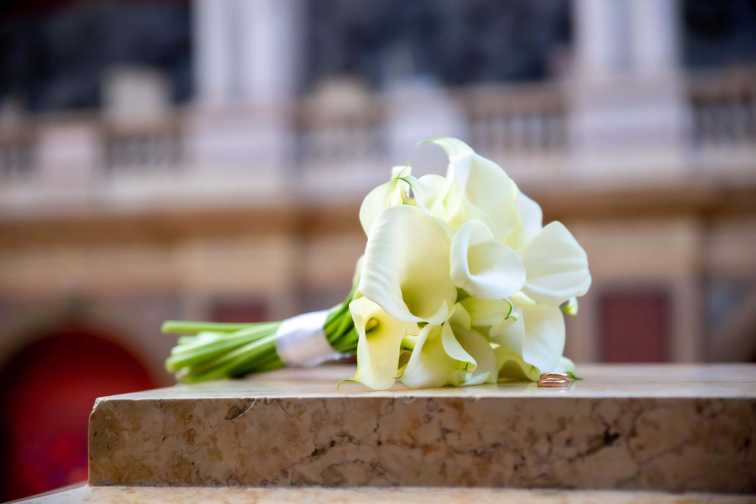 Василий и Анна. Репортажный, семейный, свадебный фотограф Санкт-Петербург Ольга Лесюк