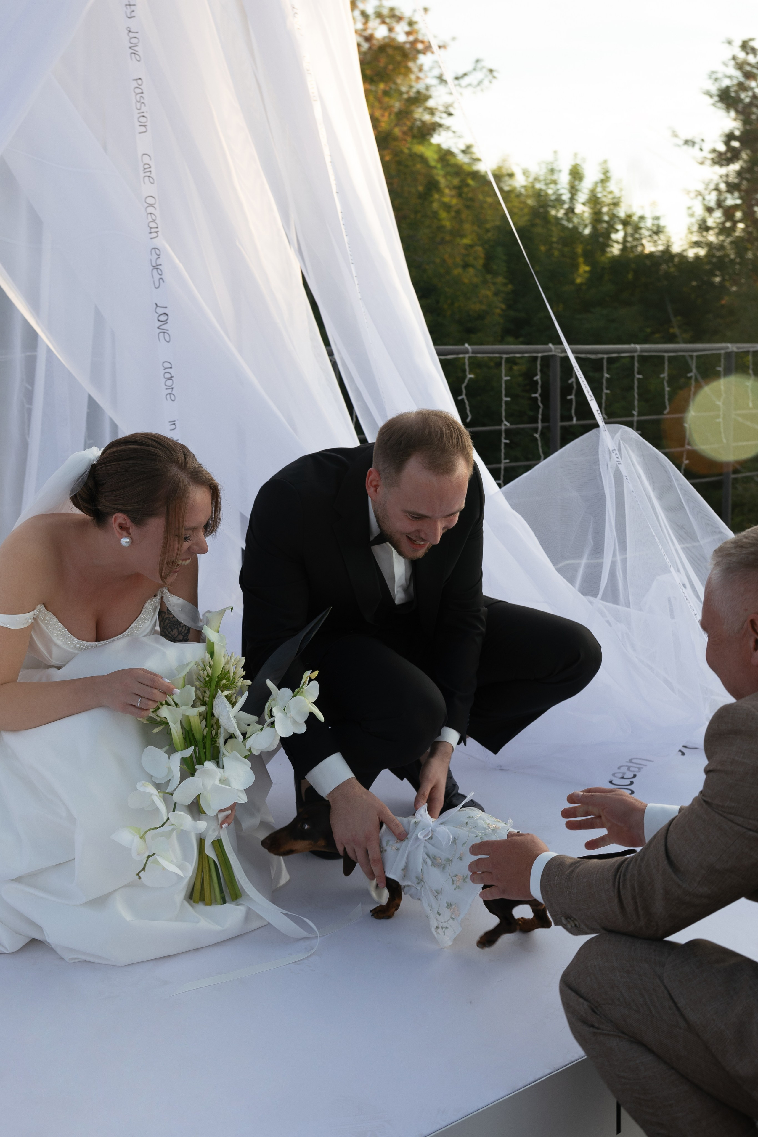 September. Wedding reels and photo