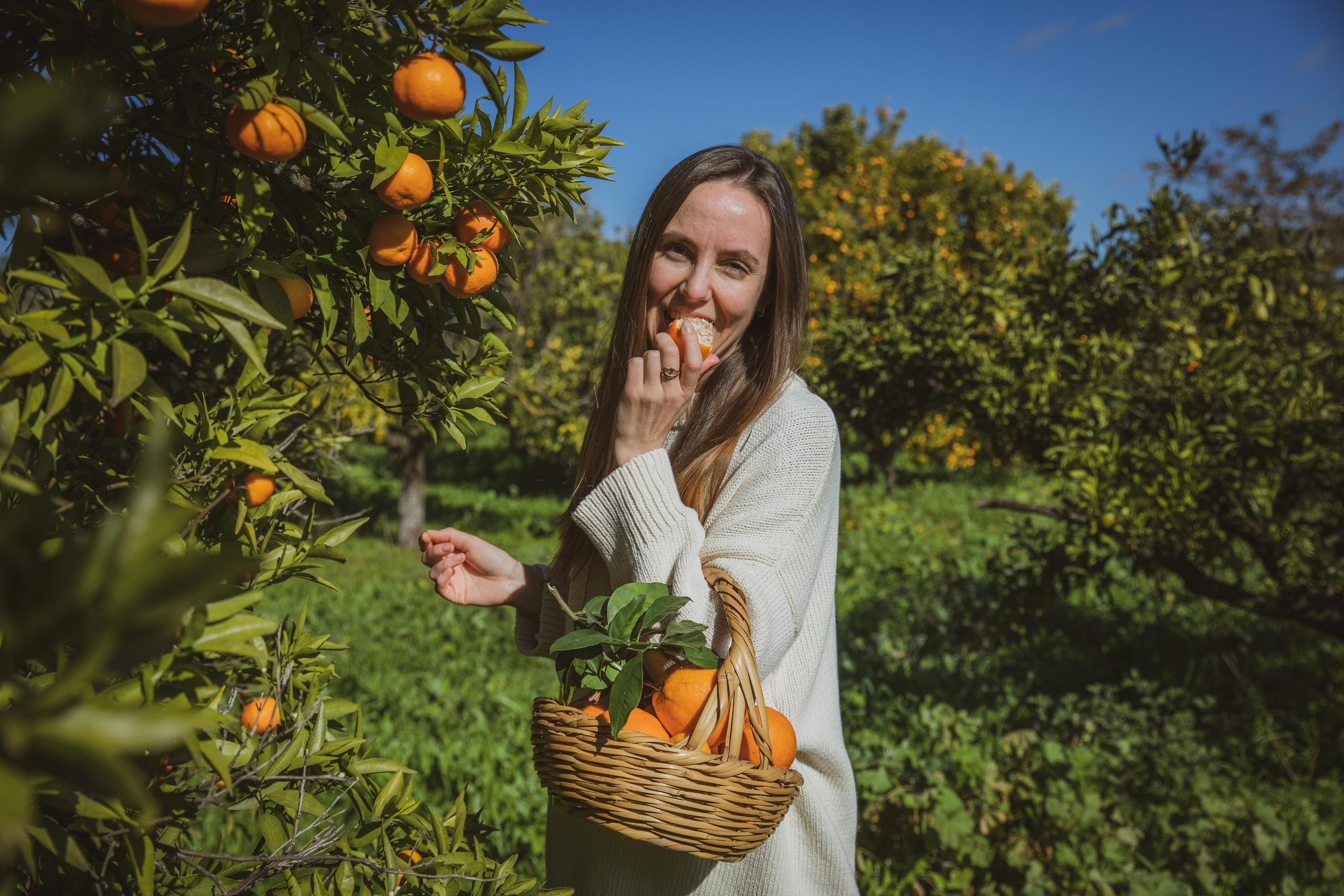 Orange pearls of the Algarve. Professional Photographer in Portugal. Oksana Lomnova