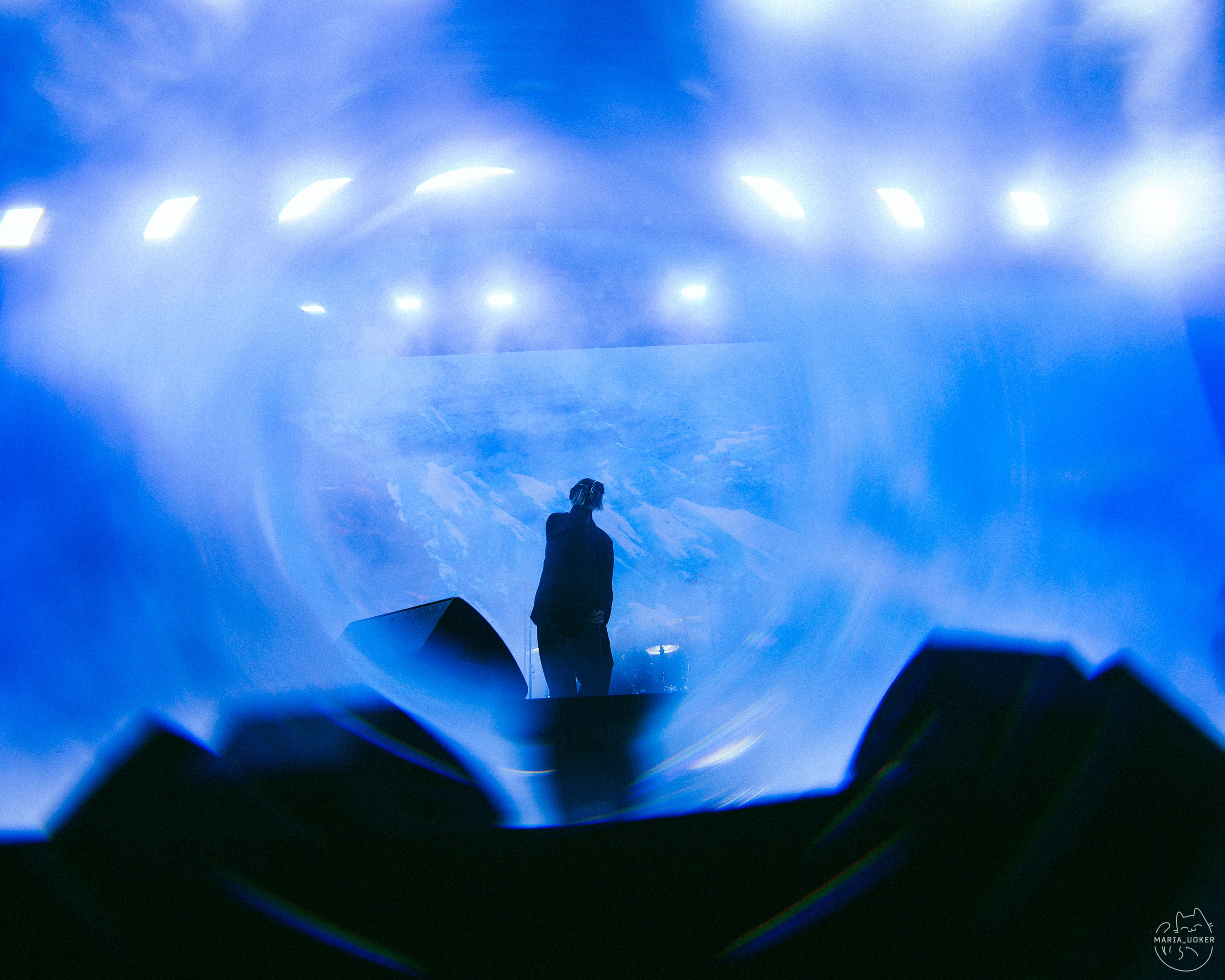 ДЖИЗУС В МТС LIVE ЛЕТО 13.06.24. Концертный и репортажный фотограф в Москве и Санкт-Петербурге Мария