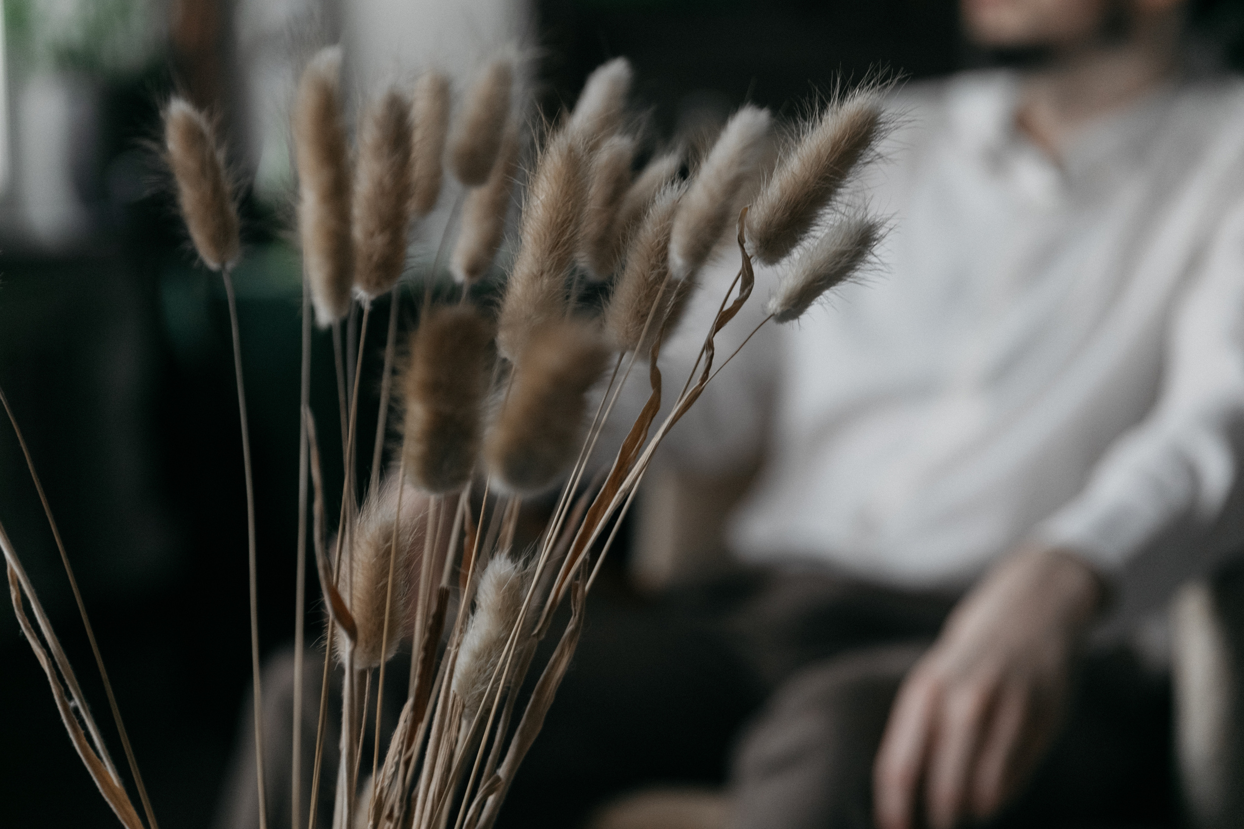 Закатные программисты. Свадебный фотограф в Санкт-Петербурге