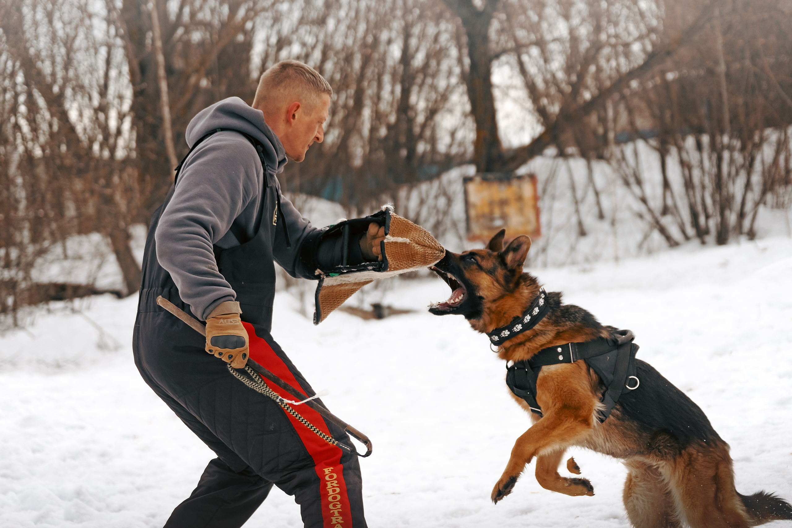 Репортажная съемка. Фотограф-анималист Нижний Новгород