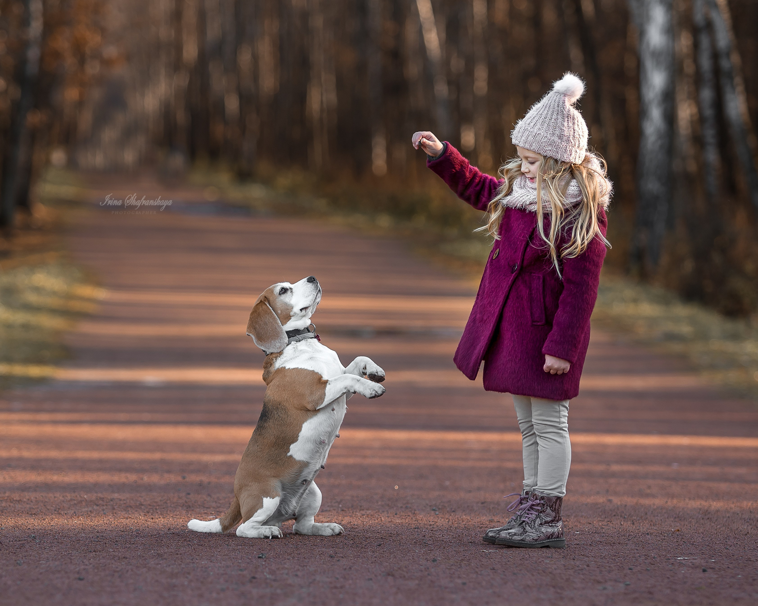Фотопроект «4 лапки». Репортажный фотограф в Москве